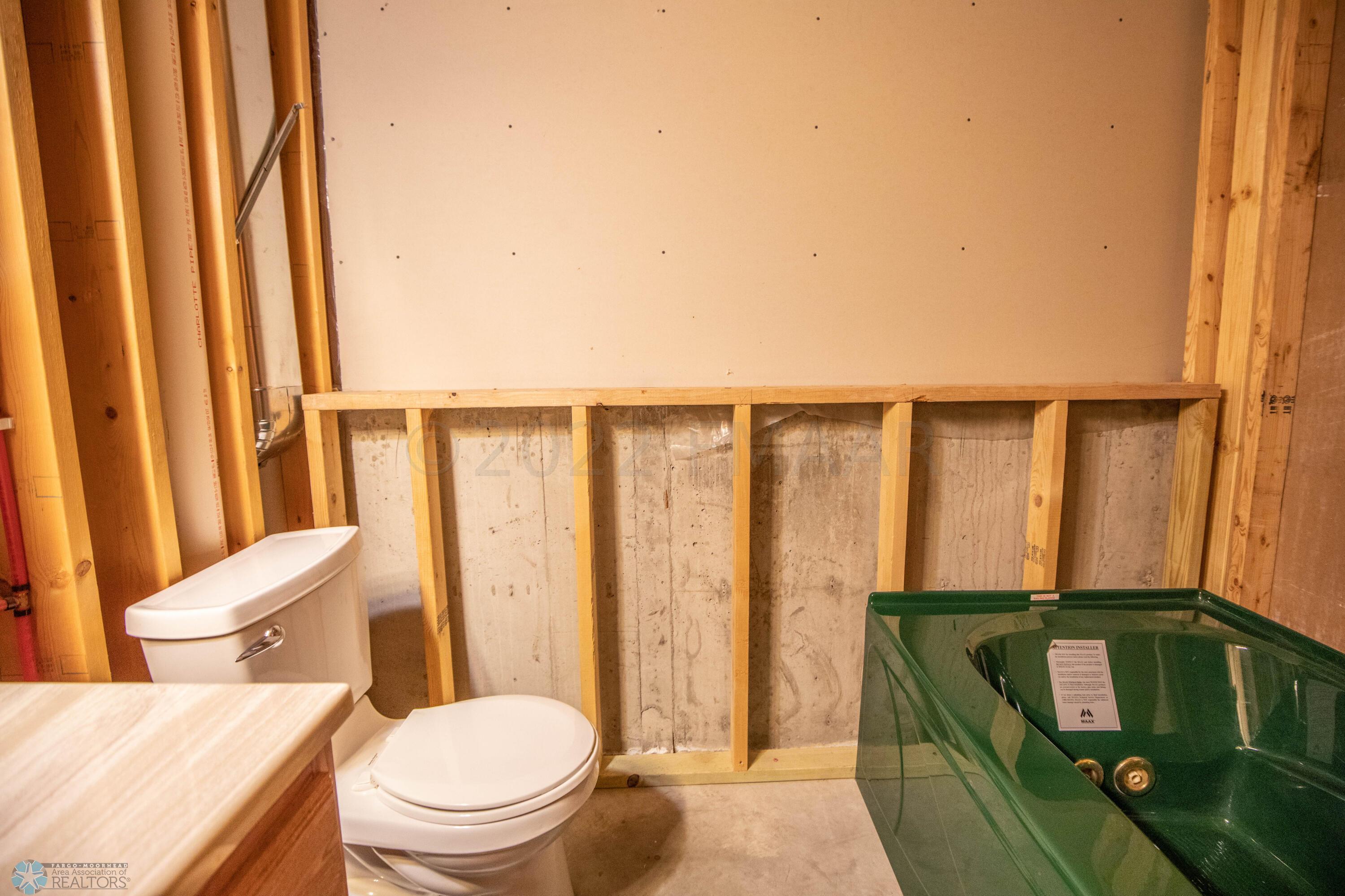 Lower Level Bathroom (needs finishing)