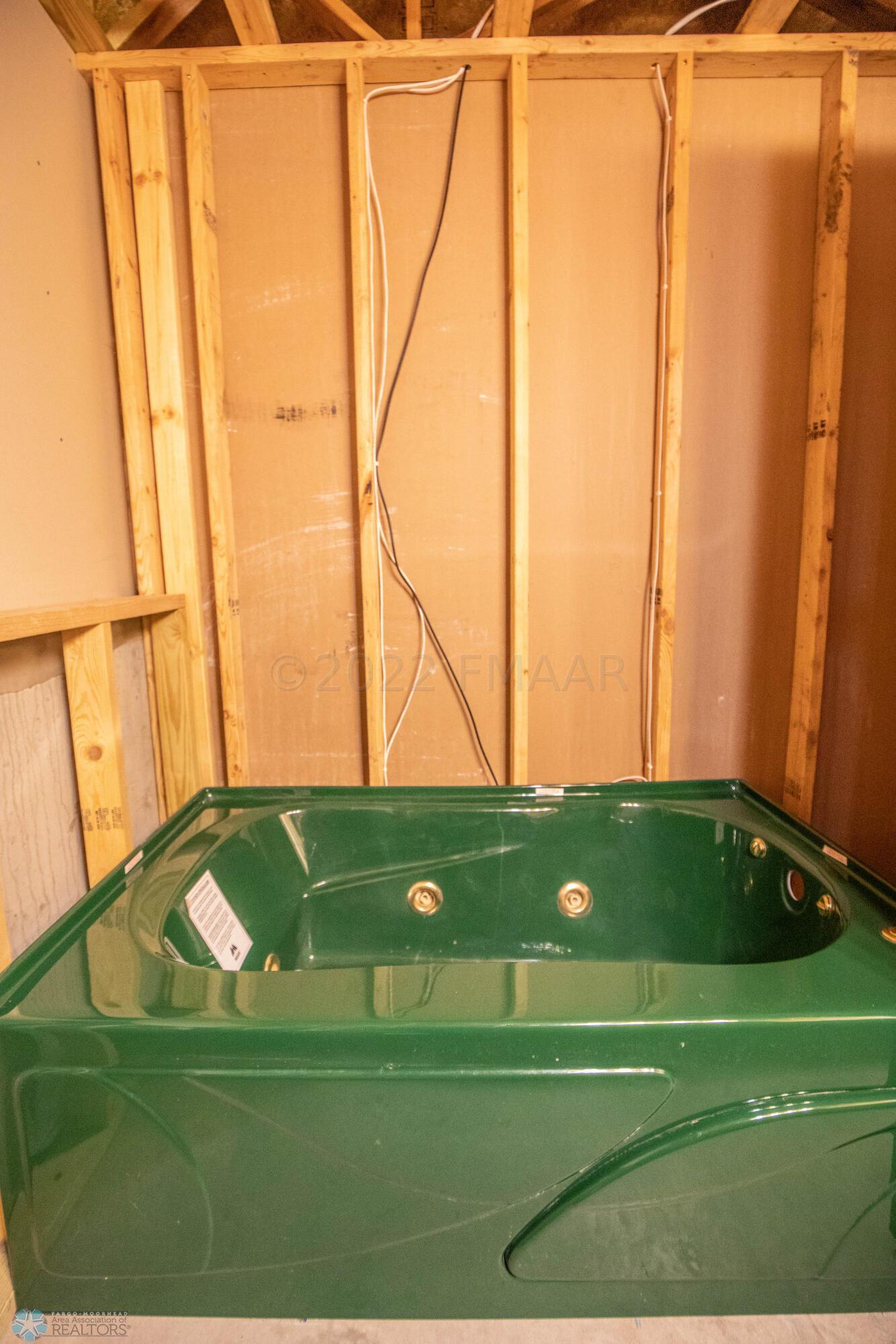 Lower Level Bathroom (needs finishing)