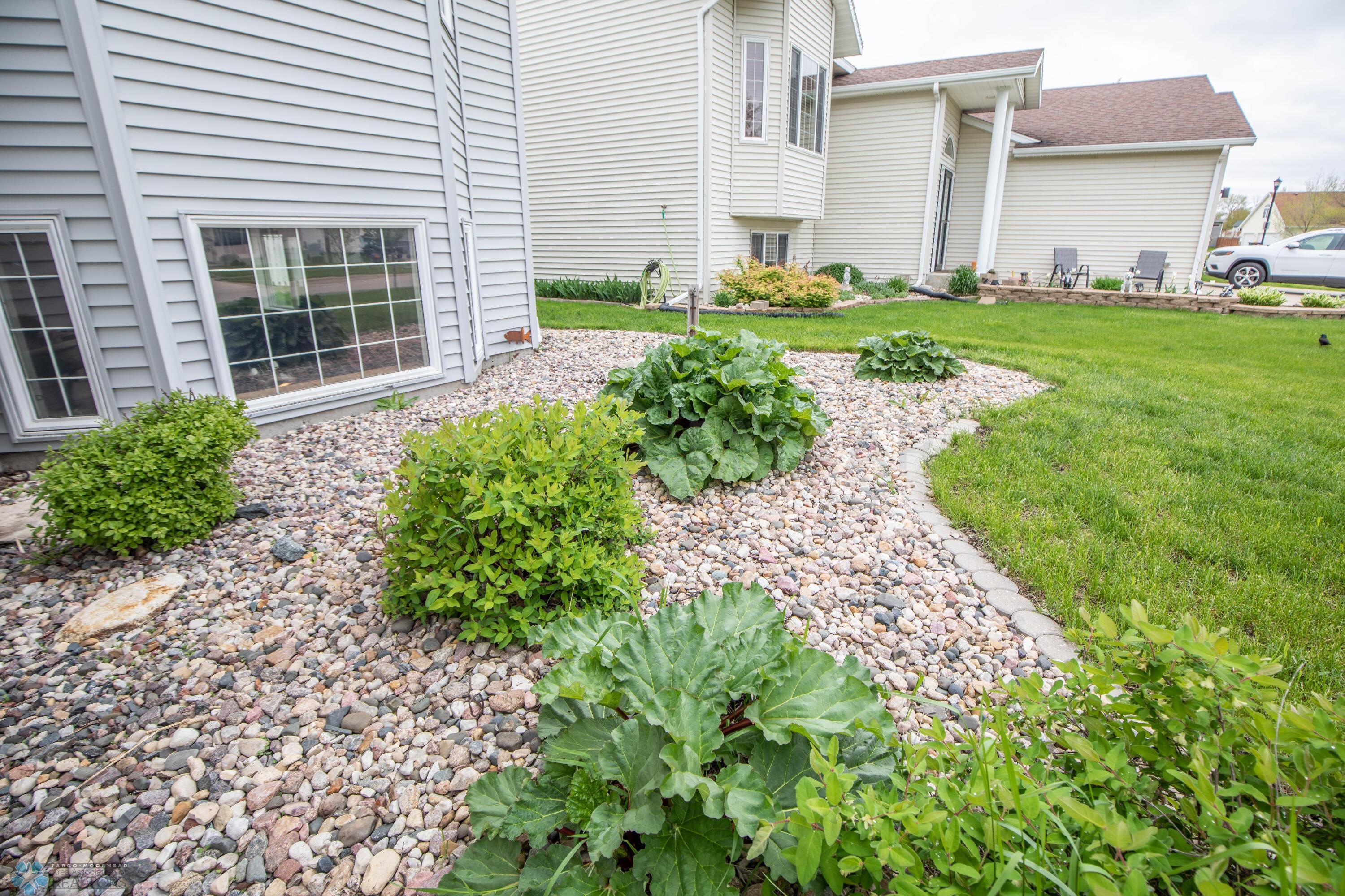 Front Plants (including rhubarb!)