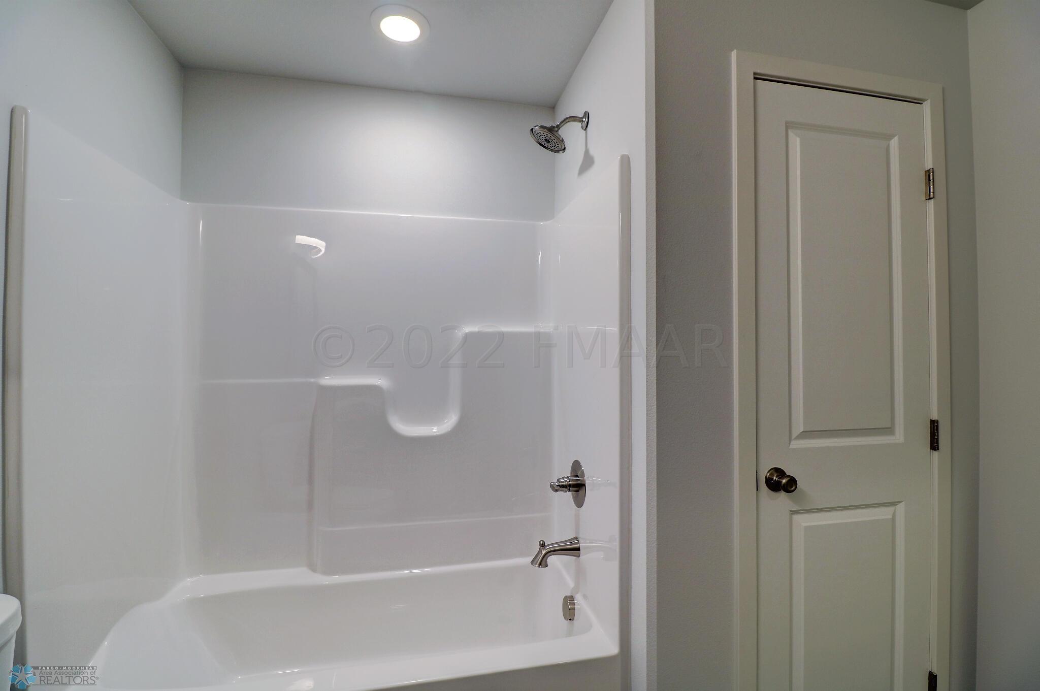 Basement Bathroom