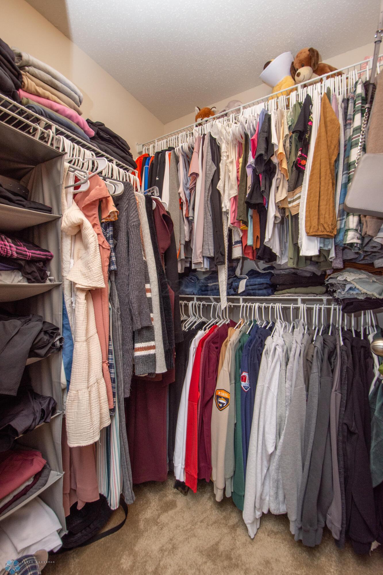 Lower Level Bedroom Closet