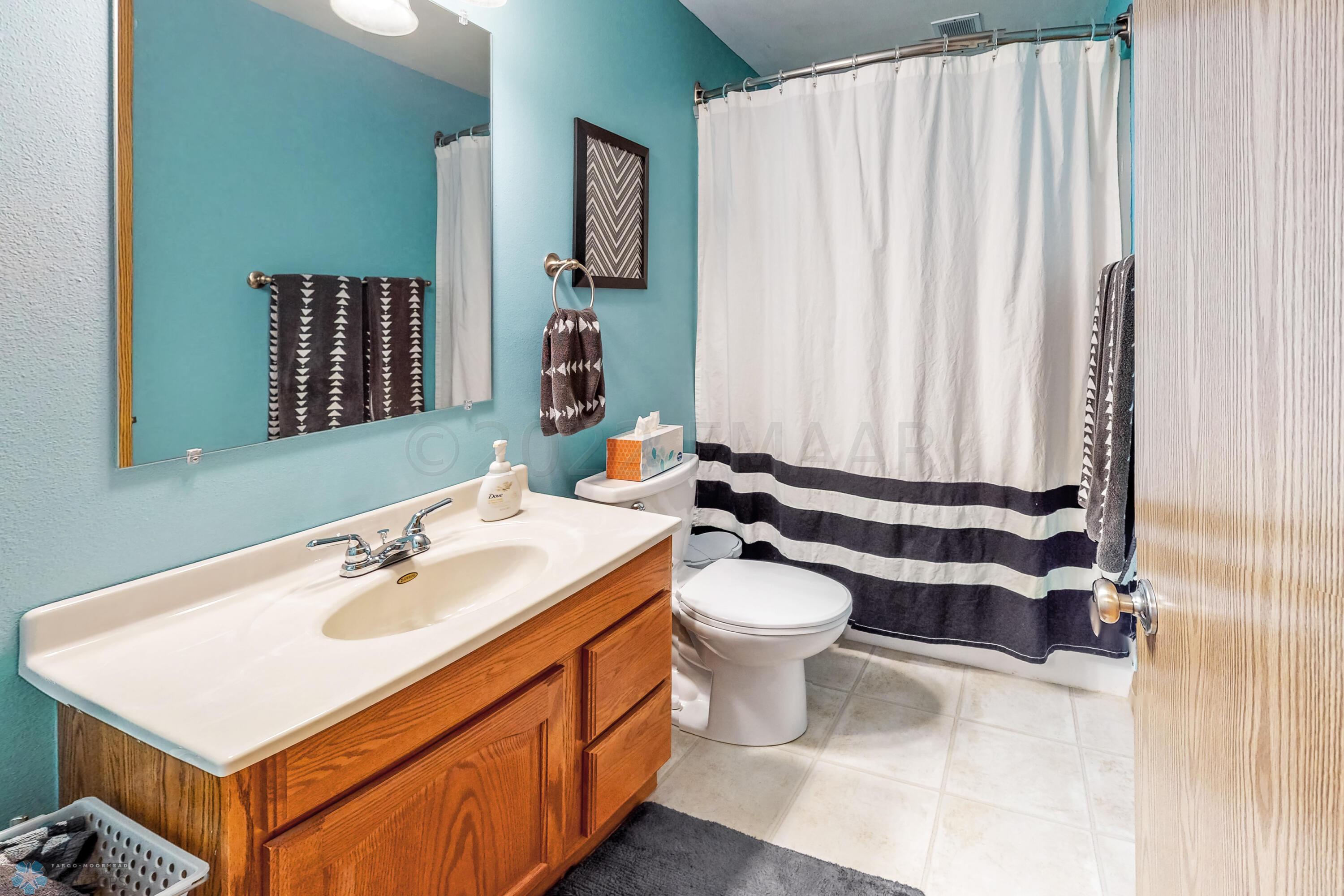 Lower Level Bathroom