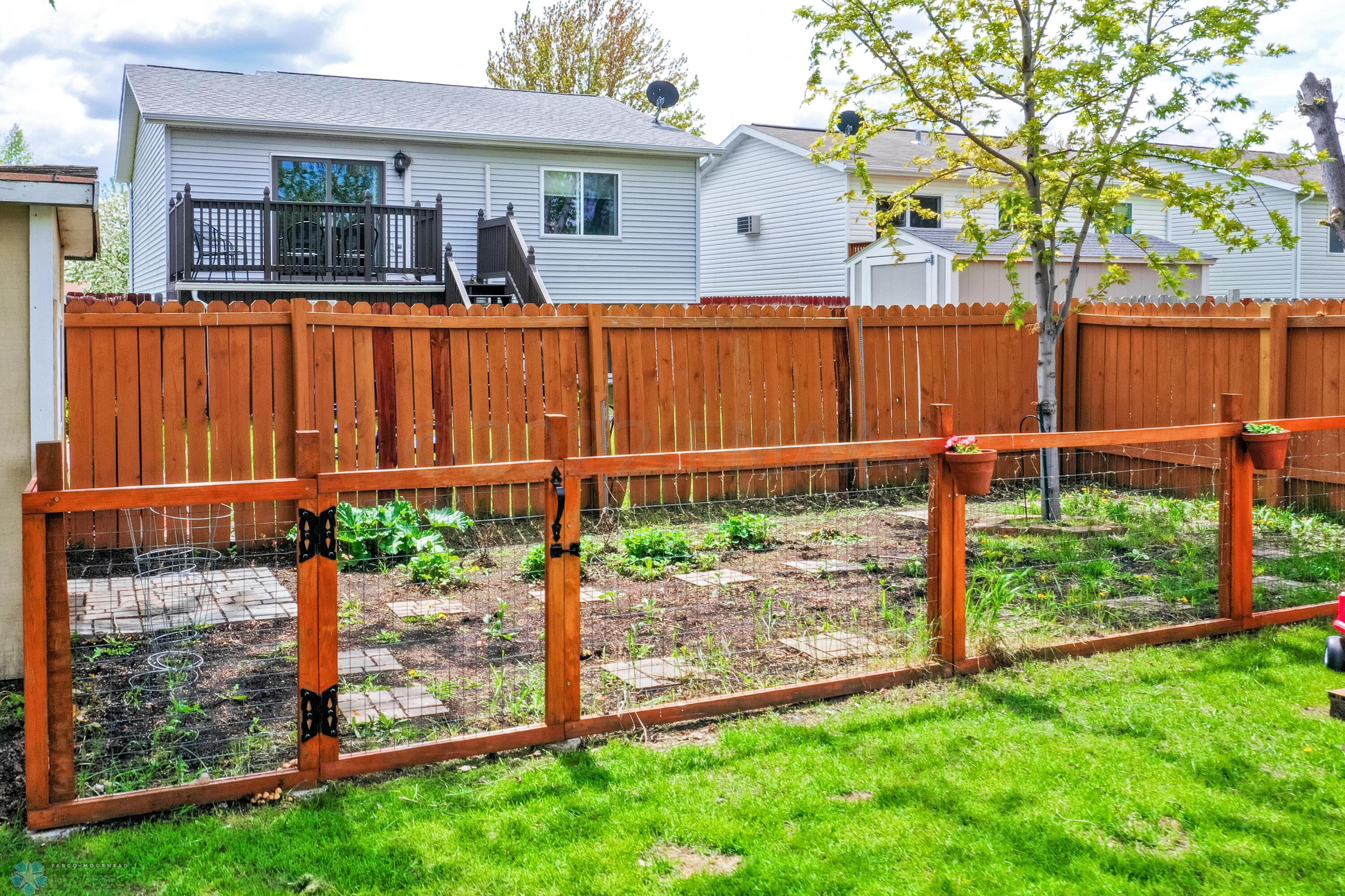 backyard garden