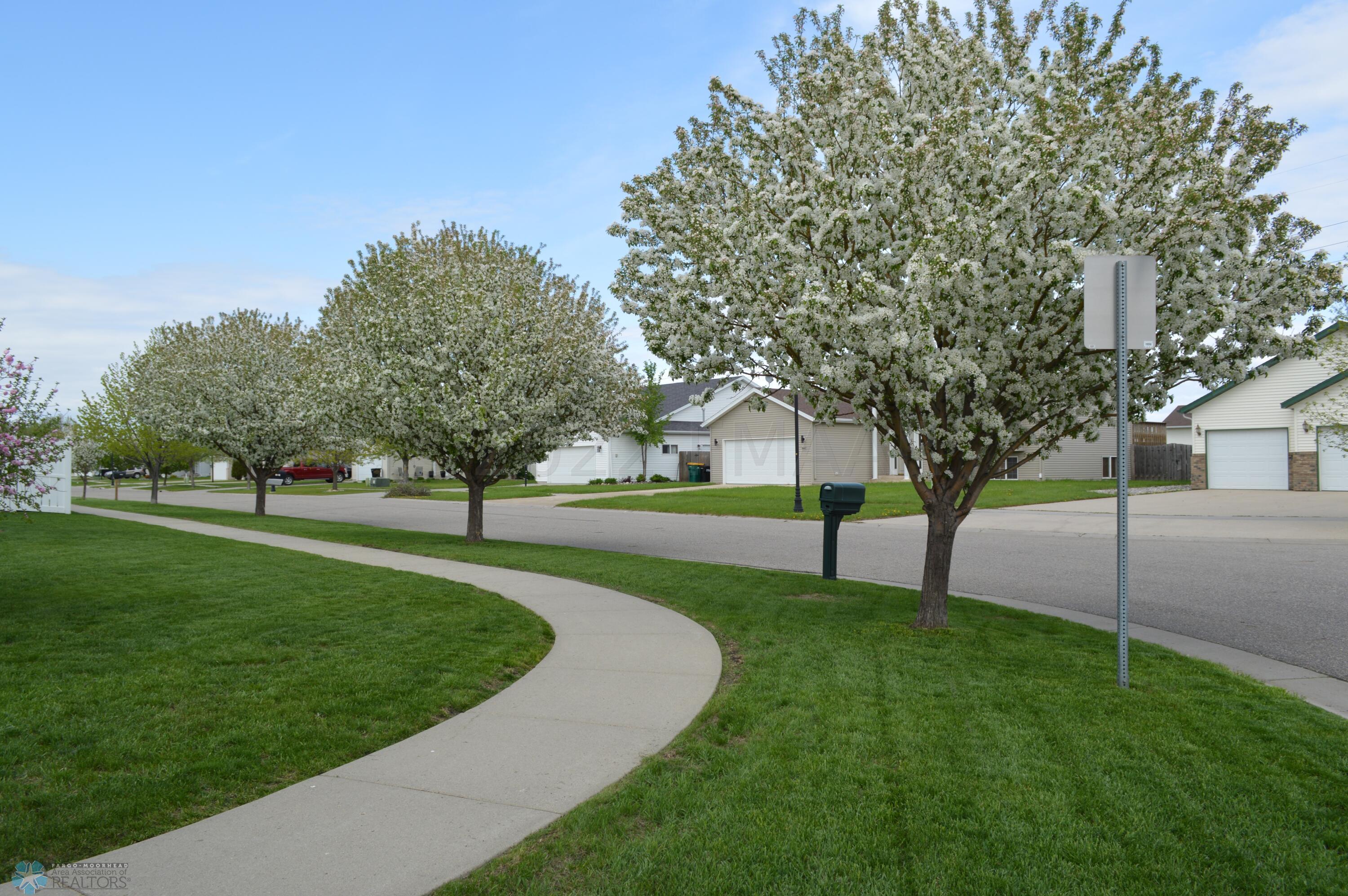 Boulevard Trees