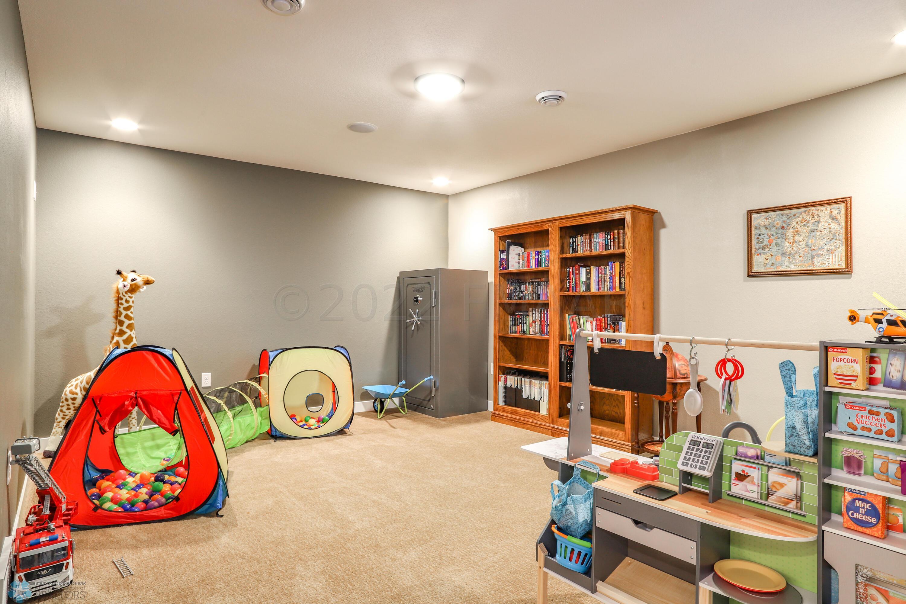 basement flex room