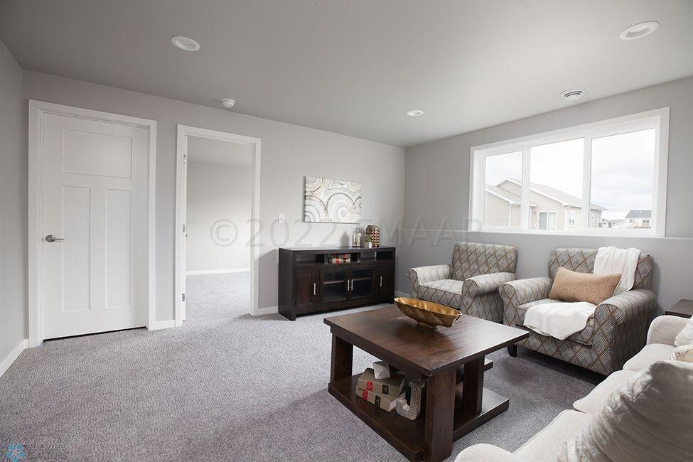 Family Room - Lower