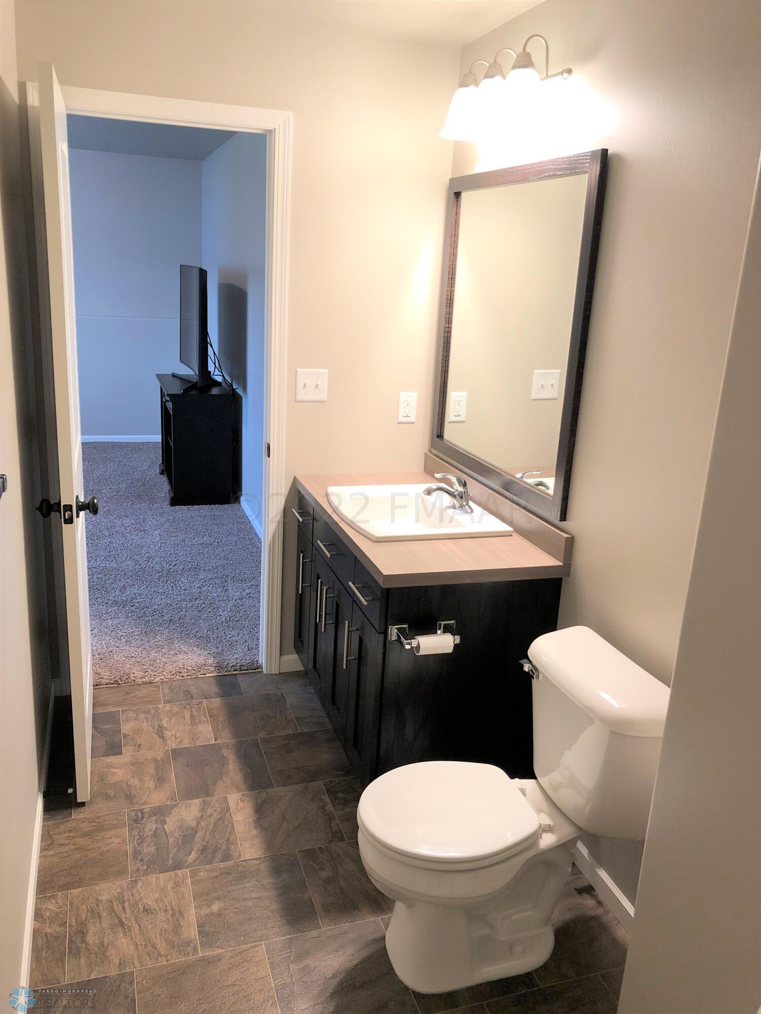 Lower Level Bathroom