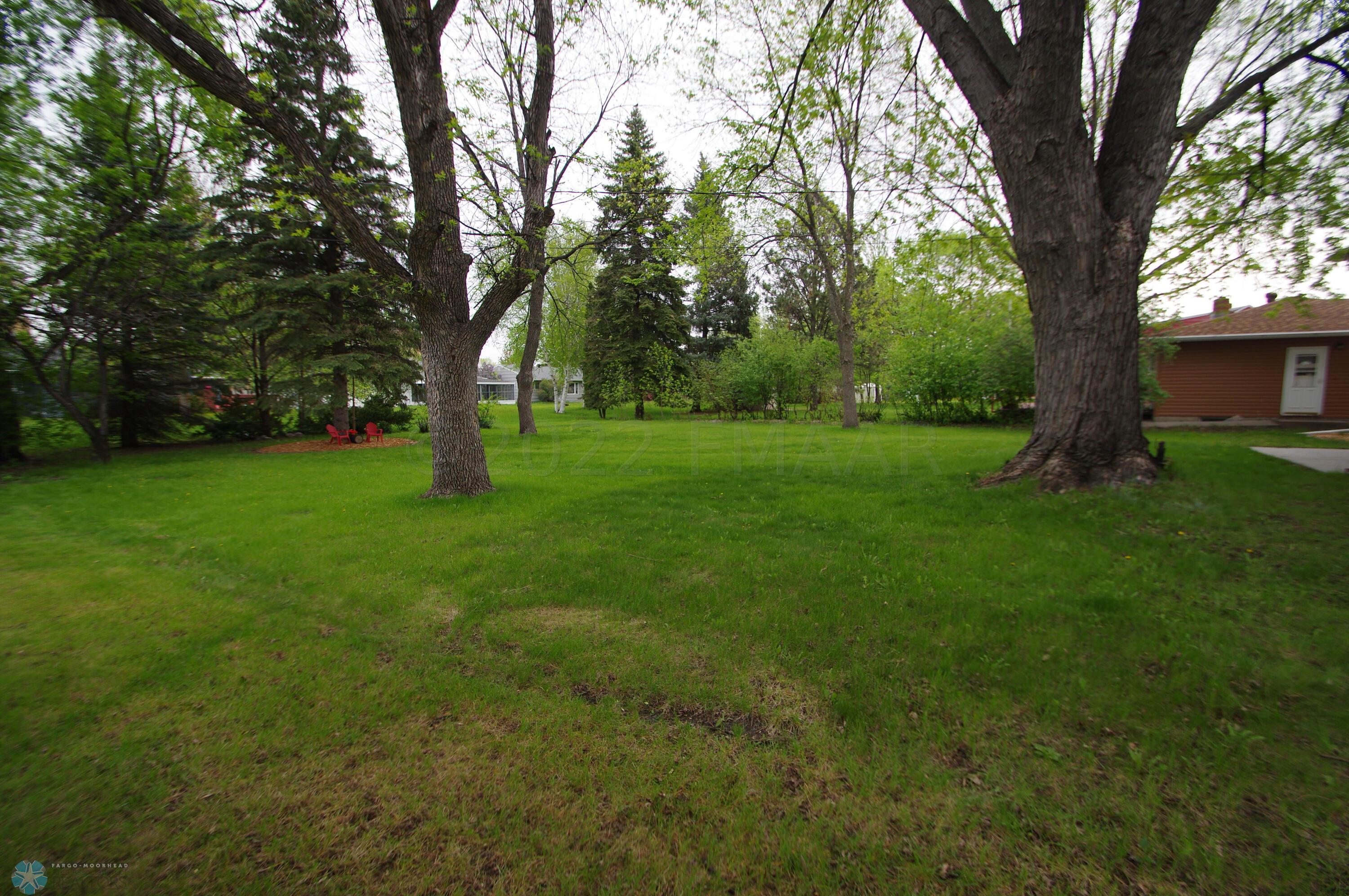 Backyard 2