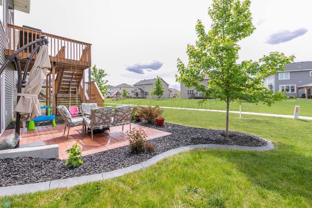Patio & Backyard