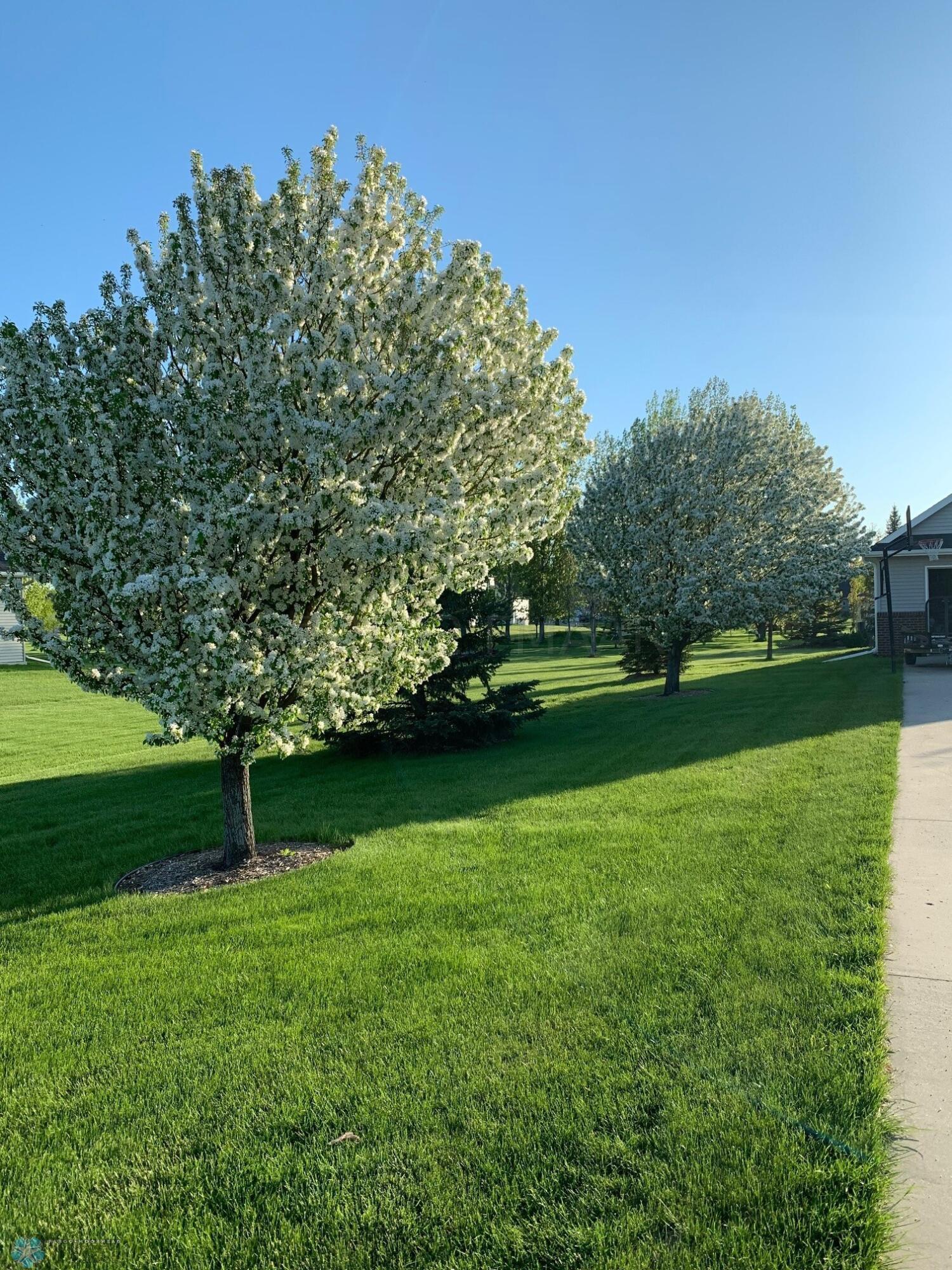 Yard 4