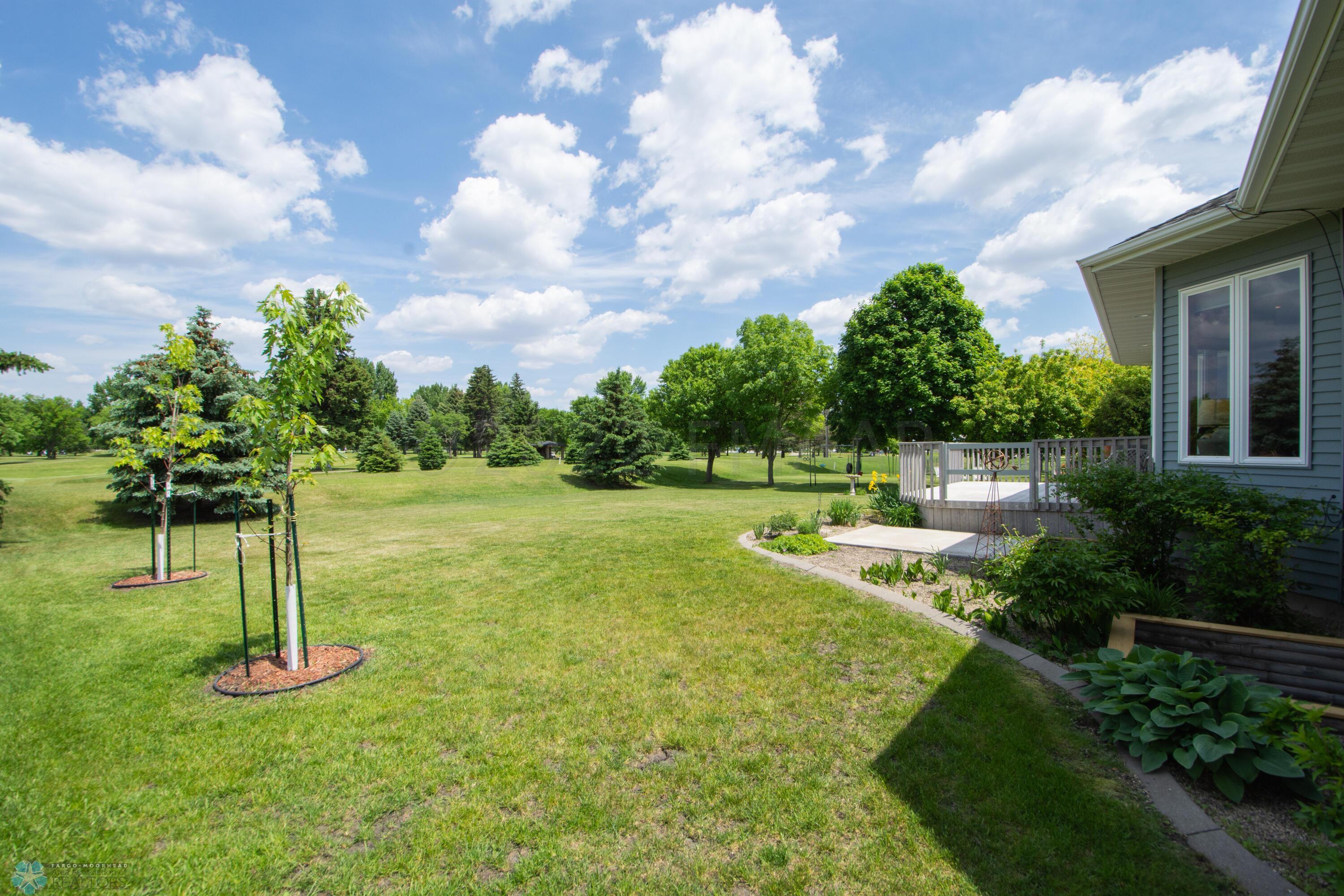Backyard(2 new maple trees)