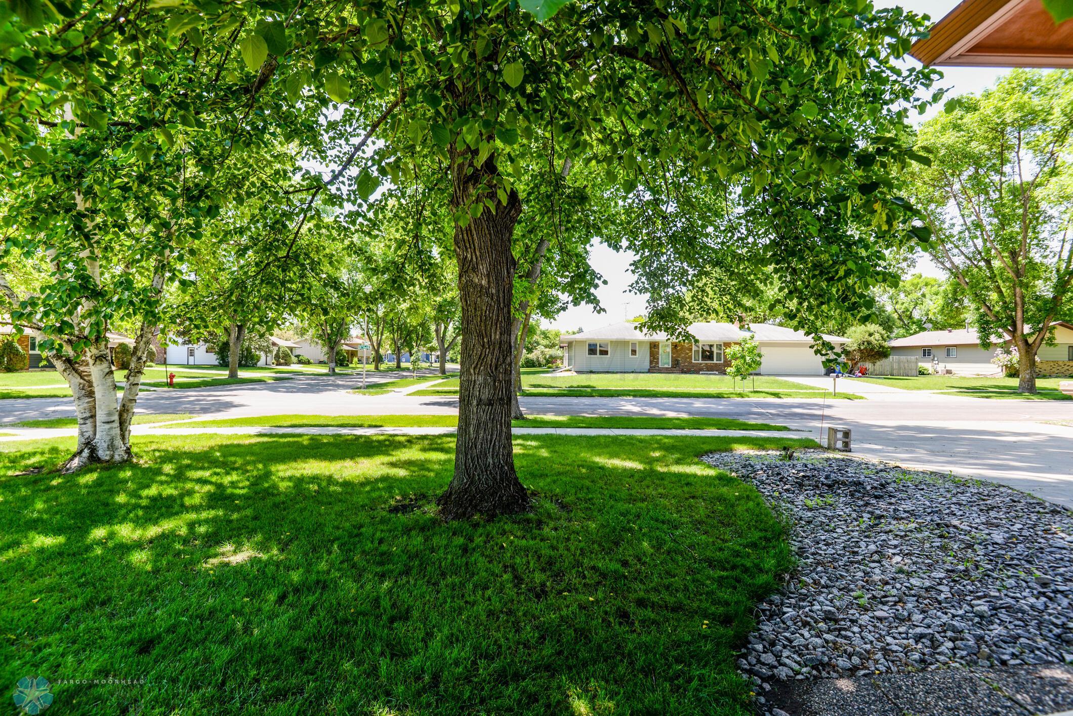 Front Yard