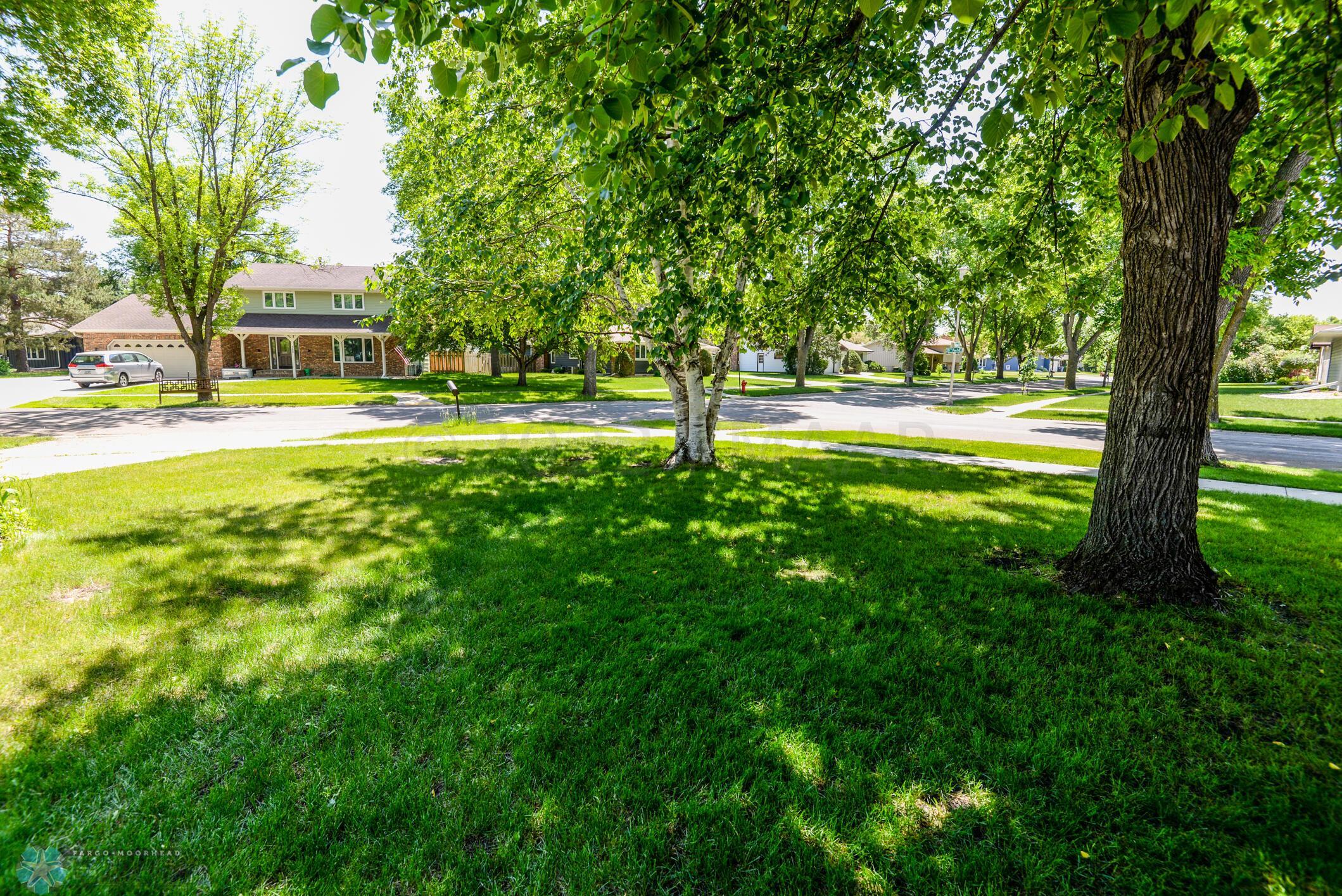 Front Yard