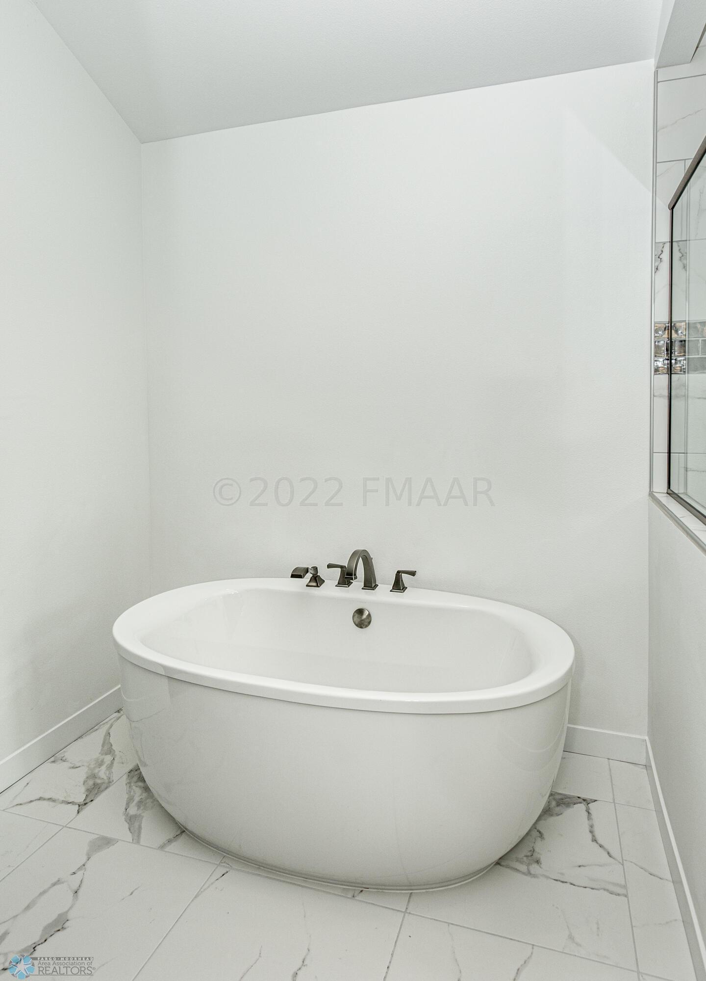 Master Bath Soaking Tub