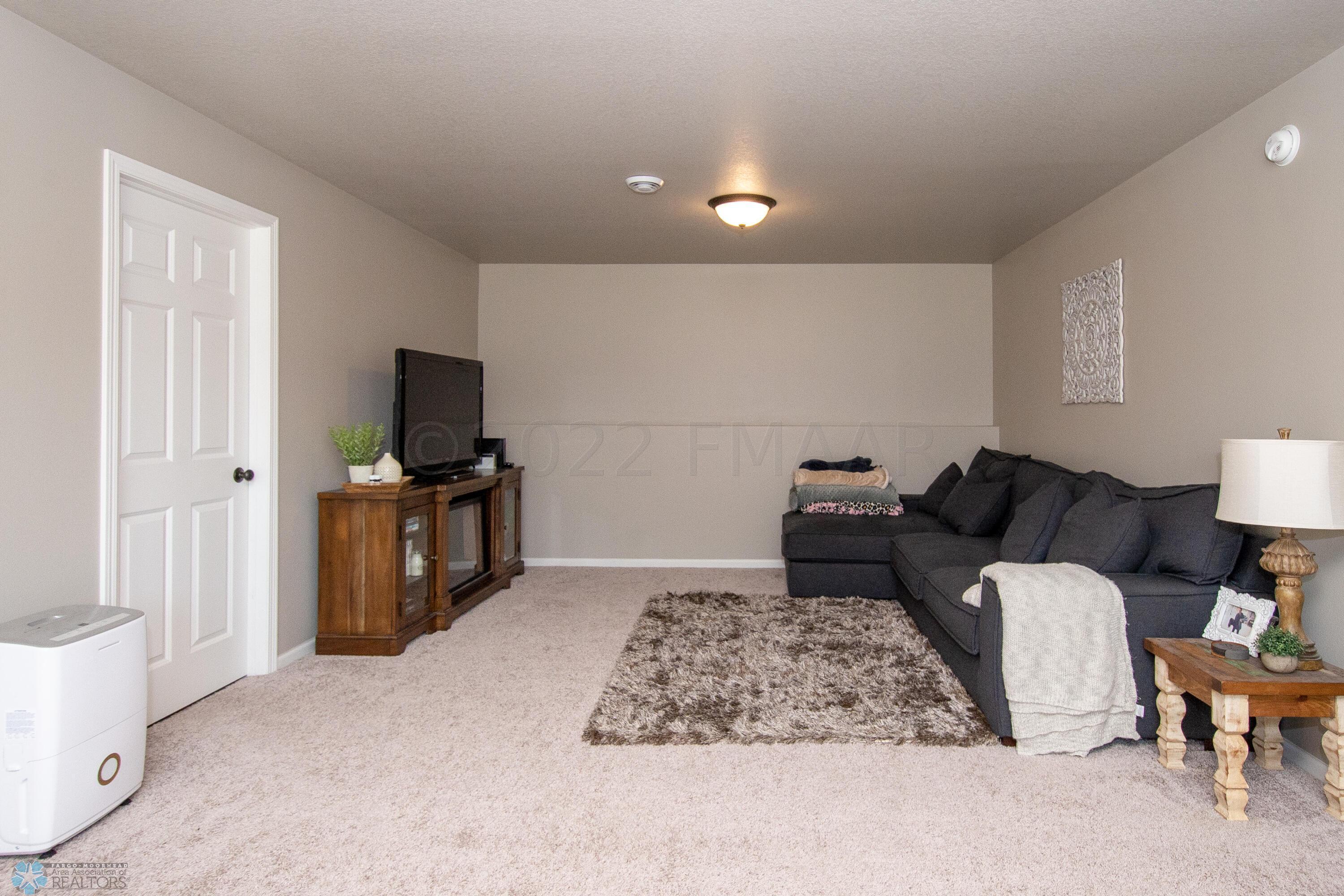 Lower Level Family Room