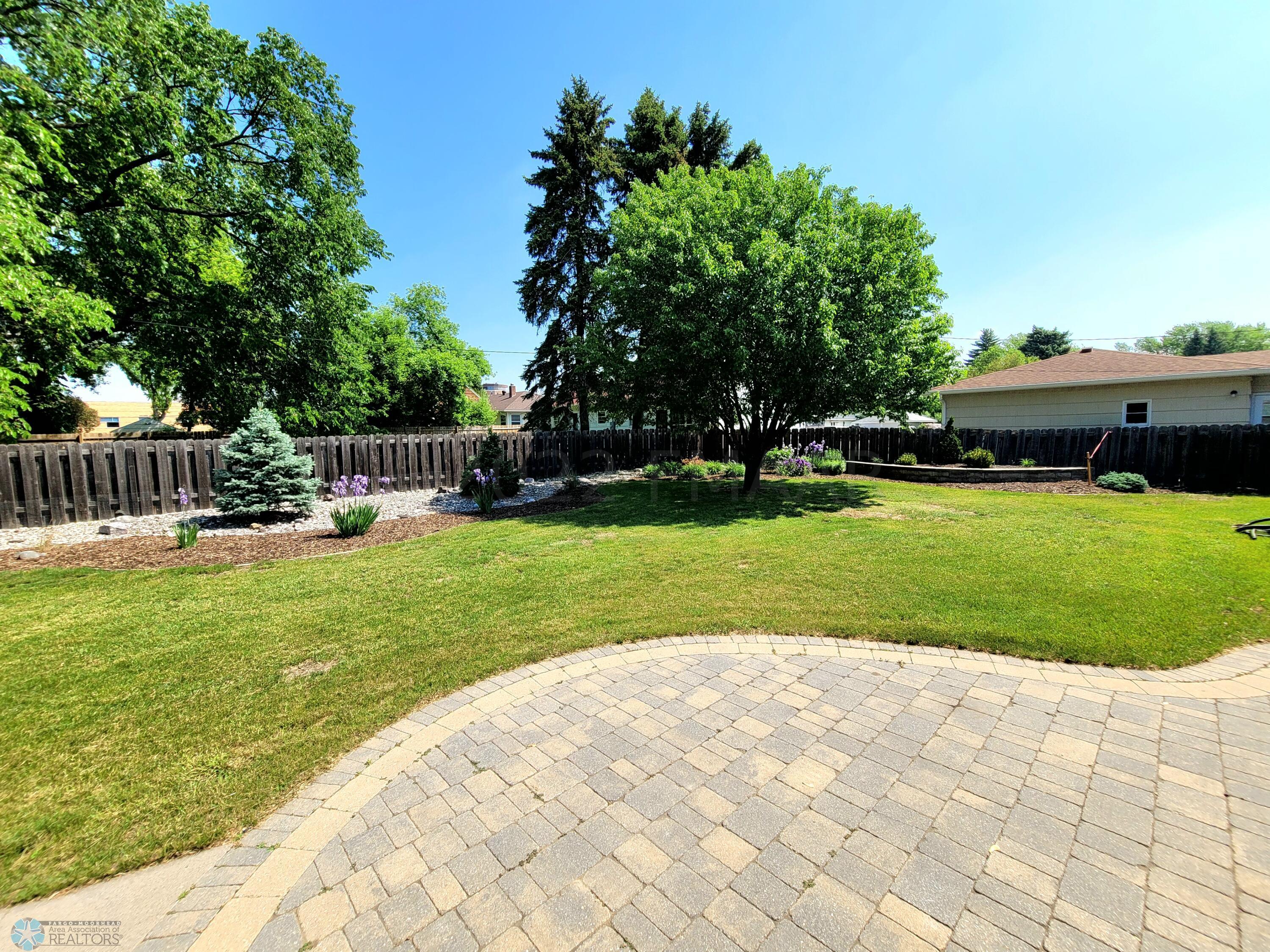 Back yard