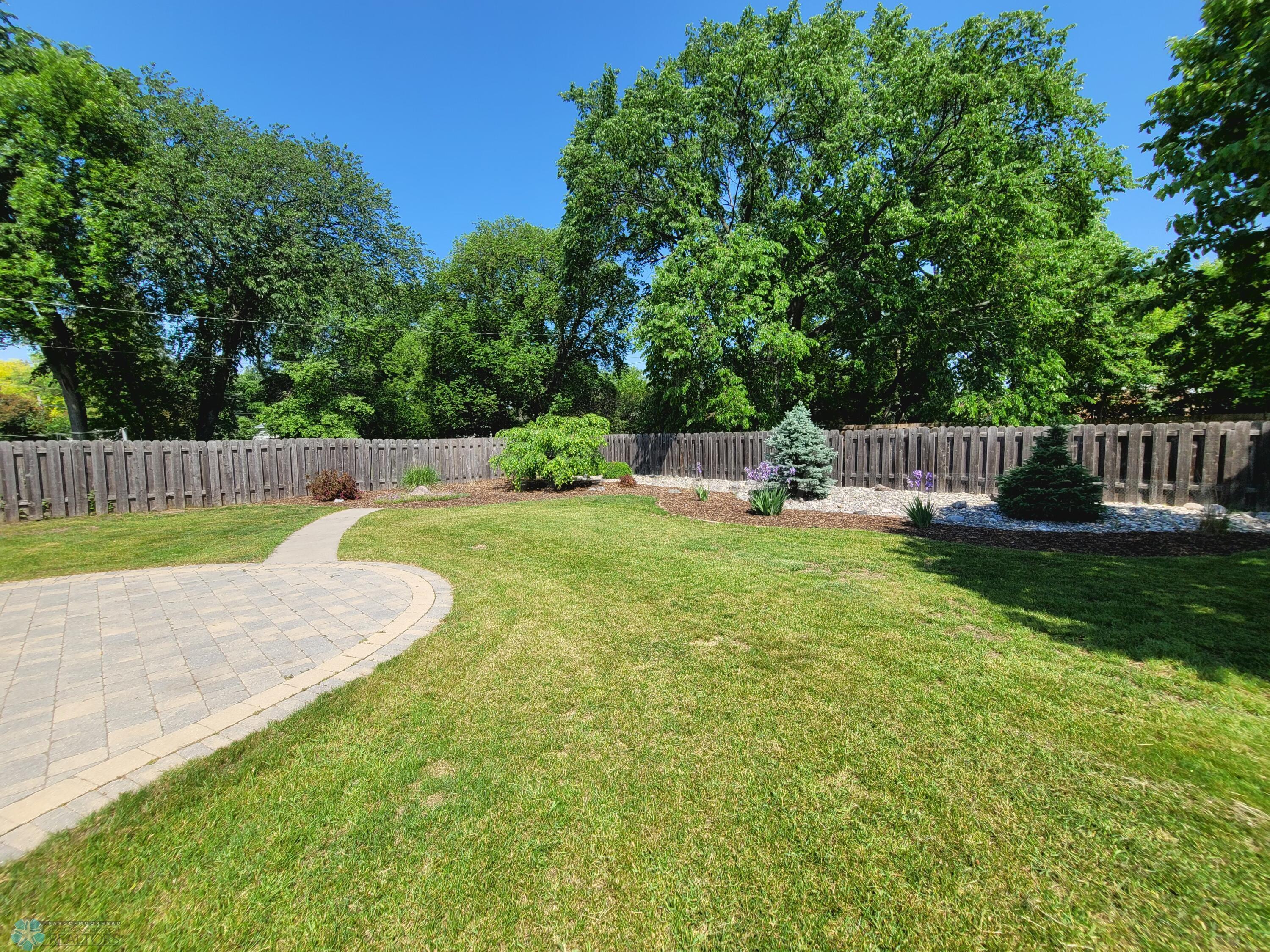 Back yard