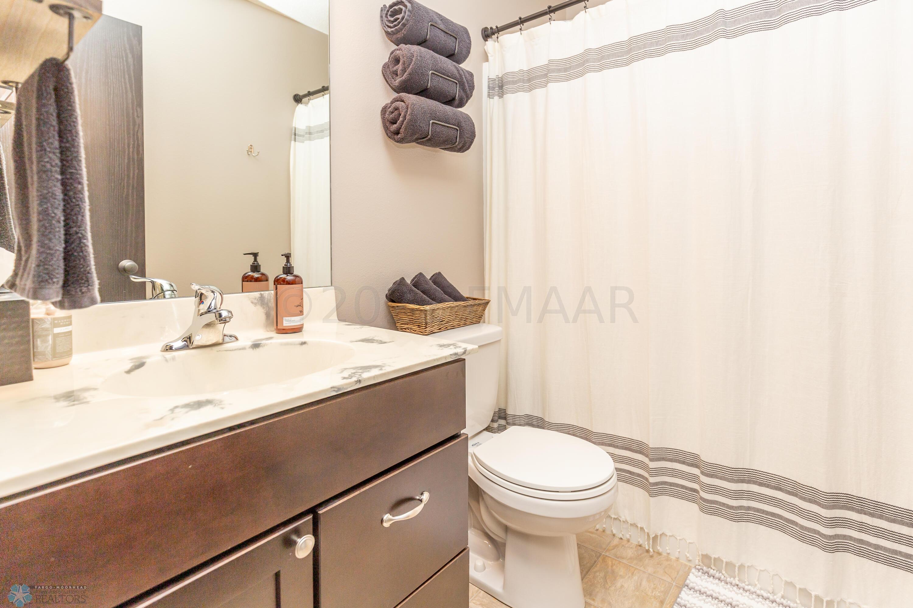 Lower Level Bathroom