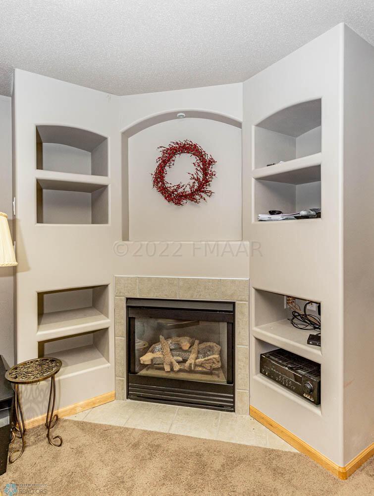 Basement Fireplace