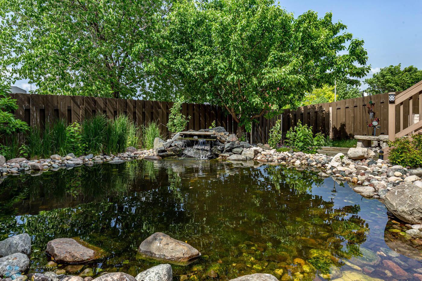 Pond