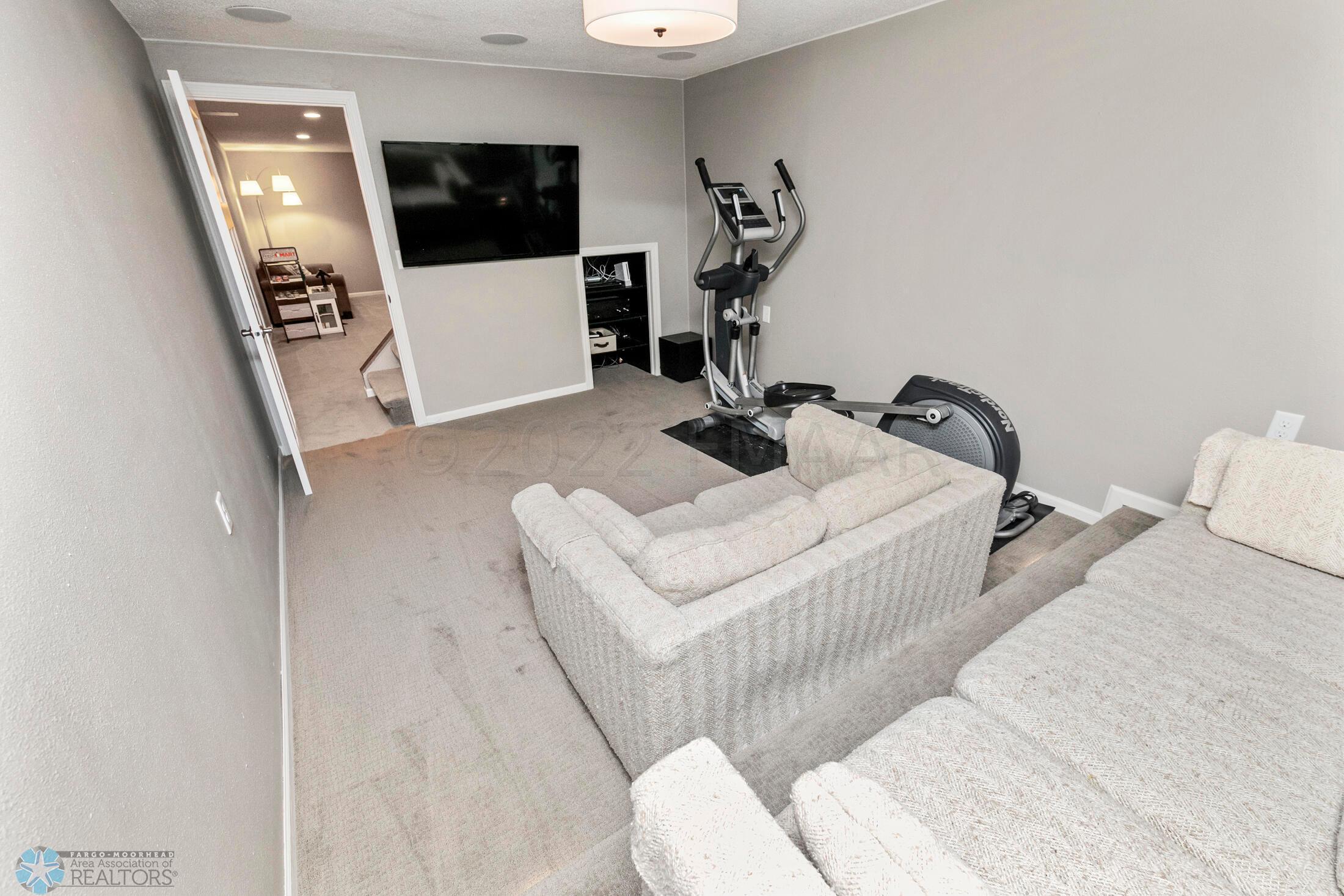 Theater/Workout Room