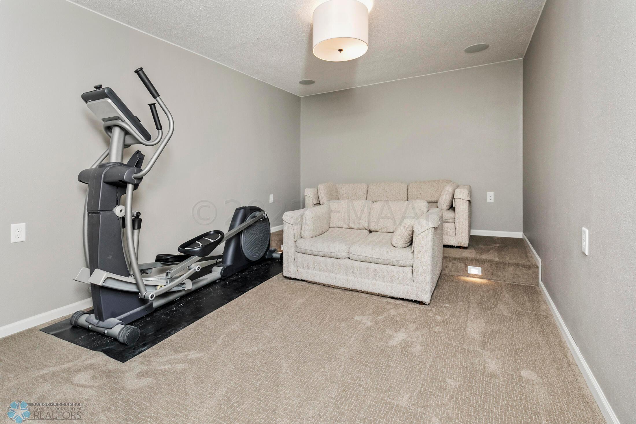 Theater/Workout Room