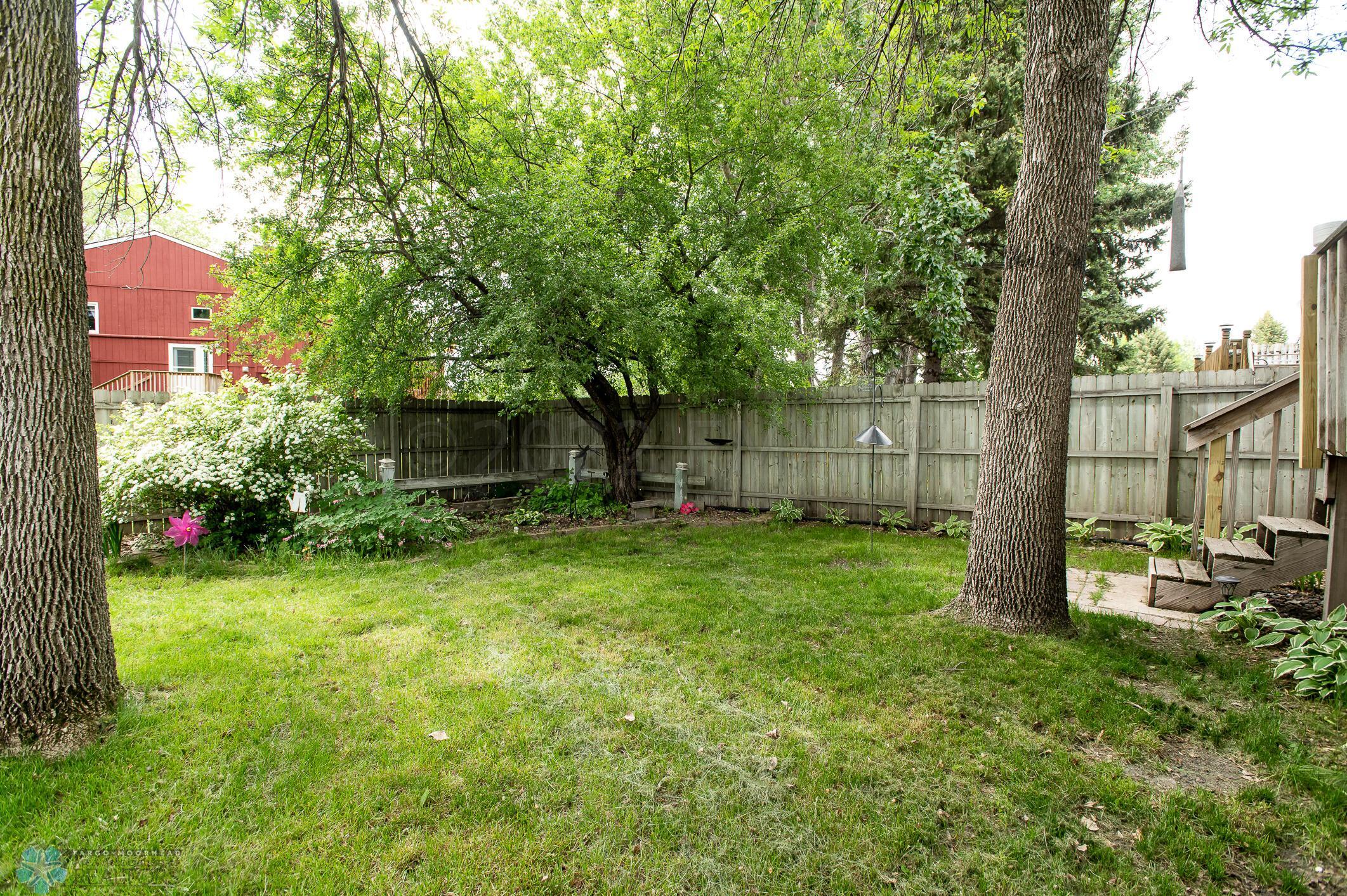 Back yard