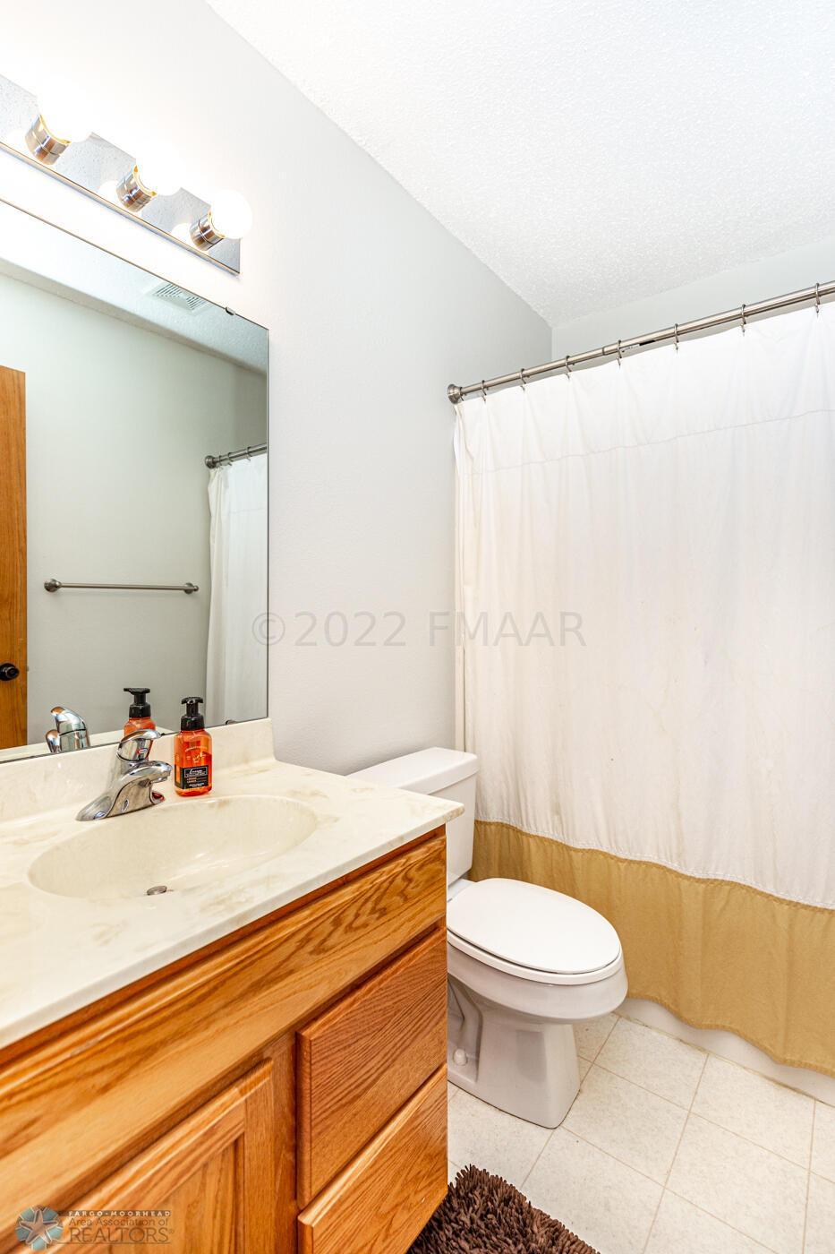 Lower Level Bathroom