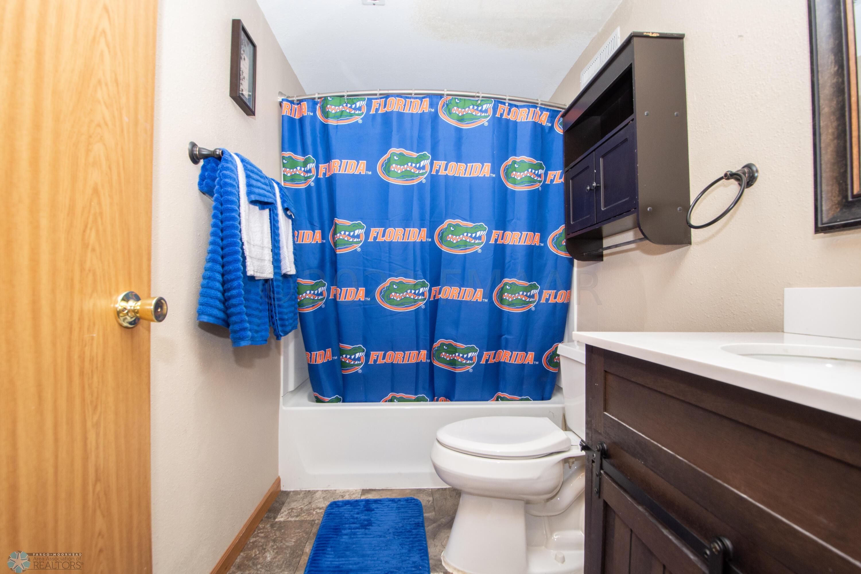 Lower level full bathroom
