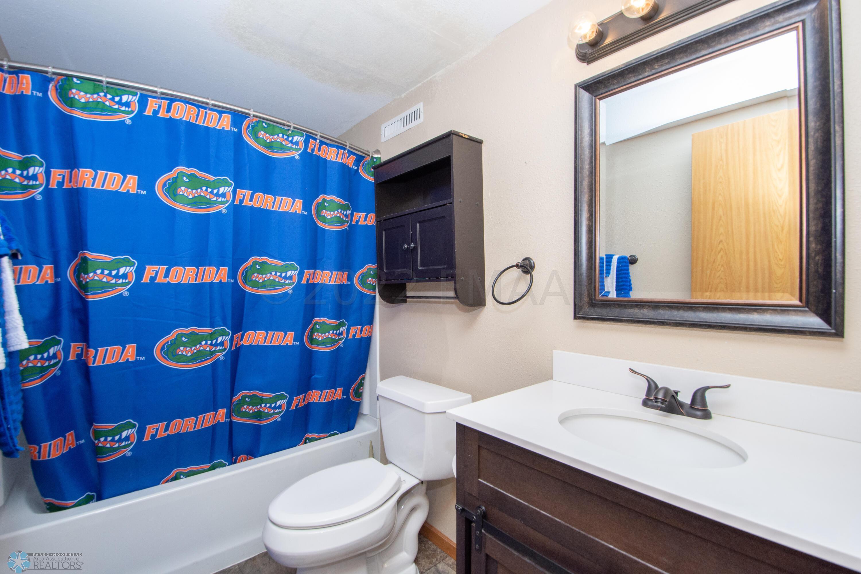 Lower level full bathroom