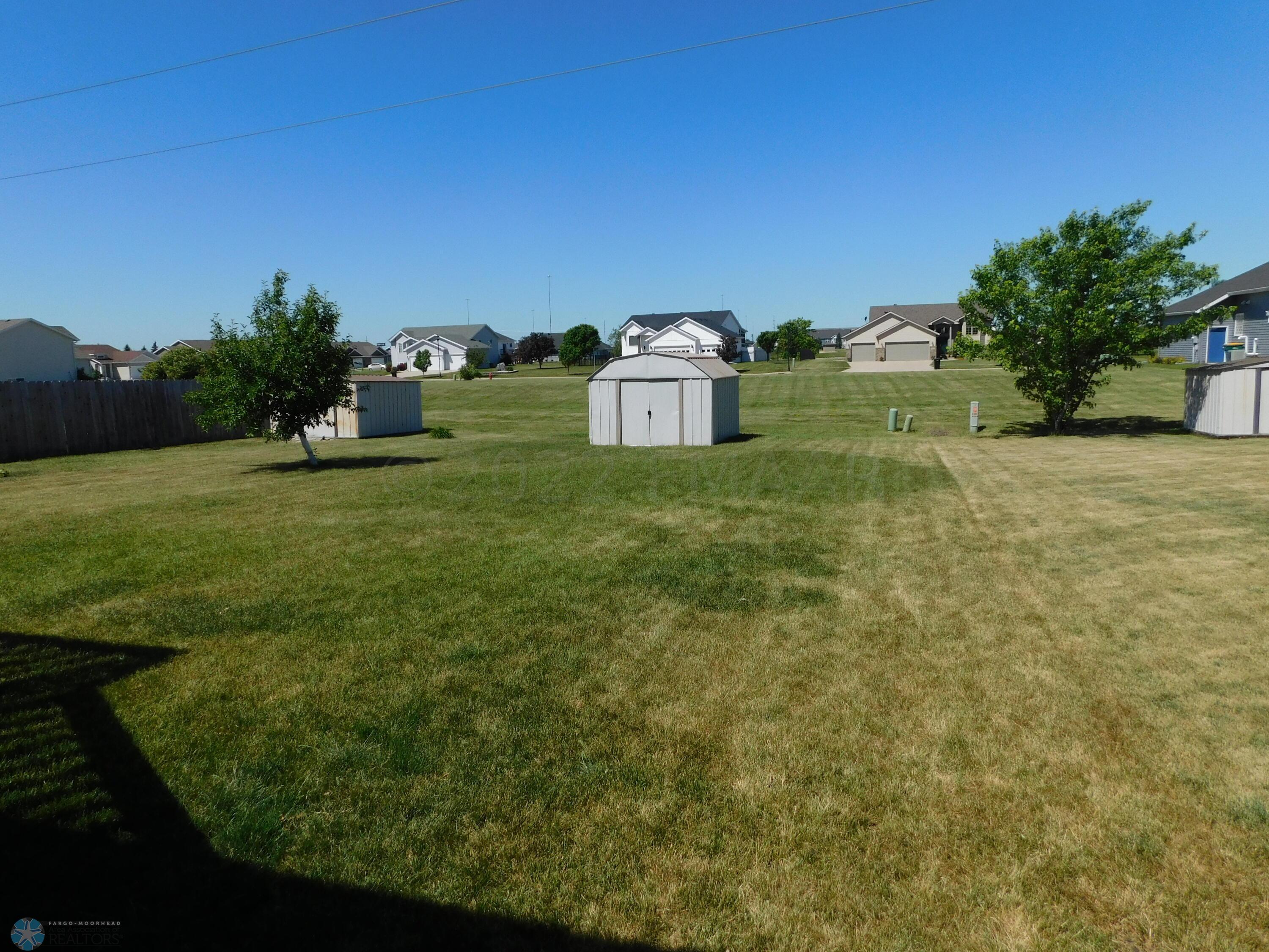 back yard