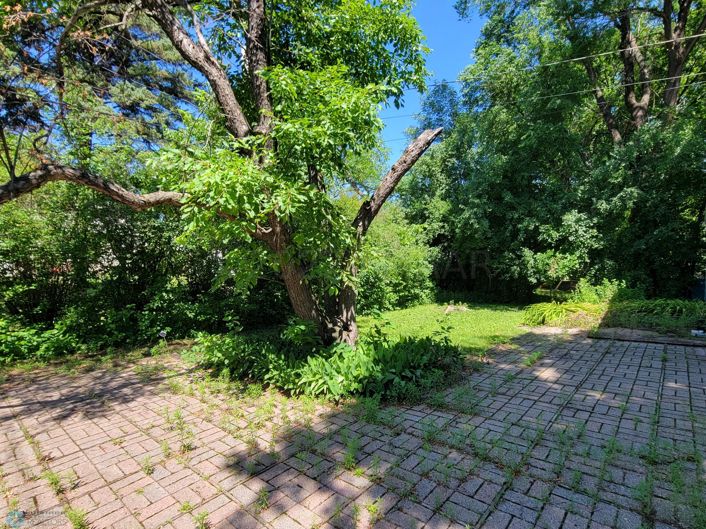 Side Yard