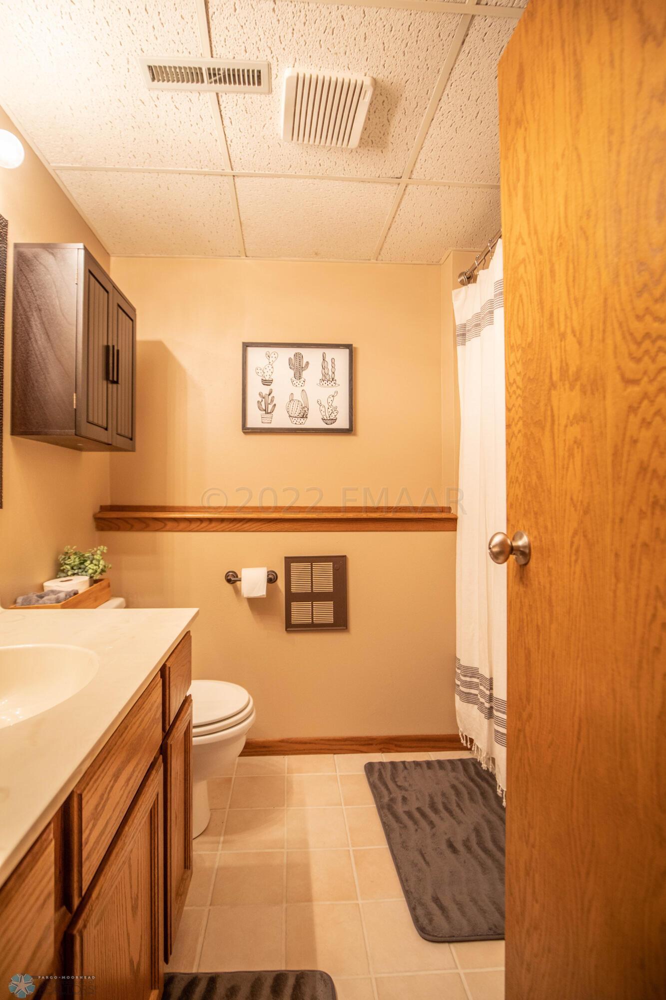 Lower Level Bathroom