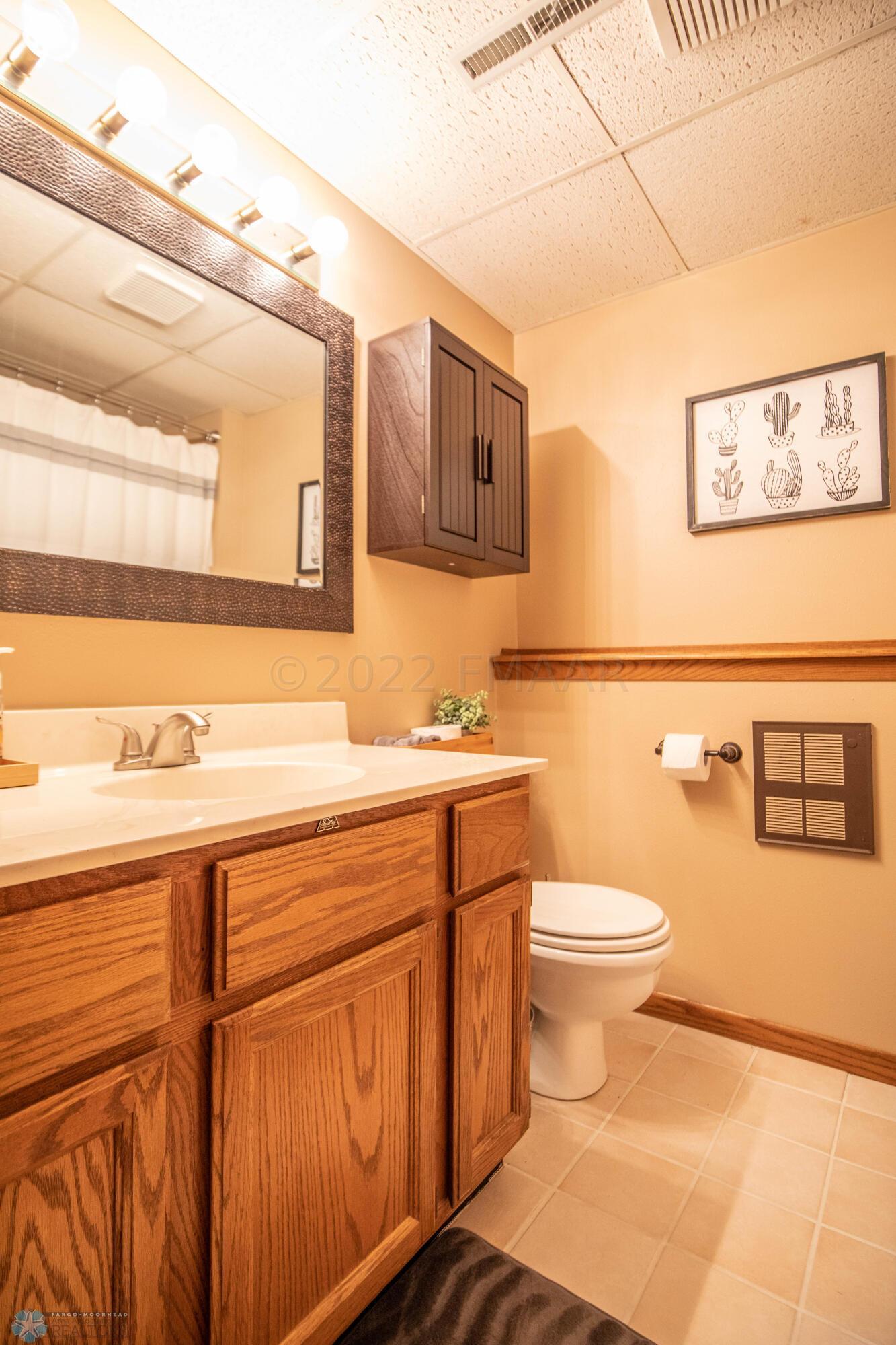 Lower Level Bathroom