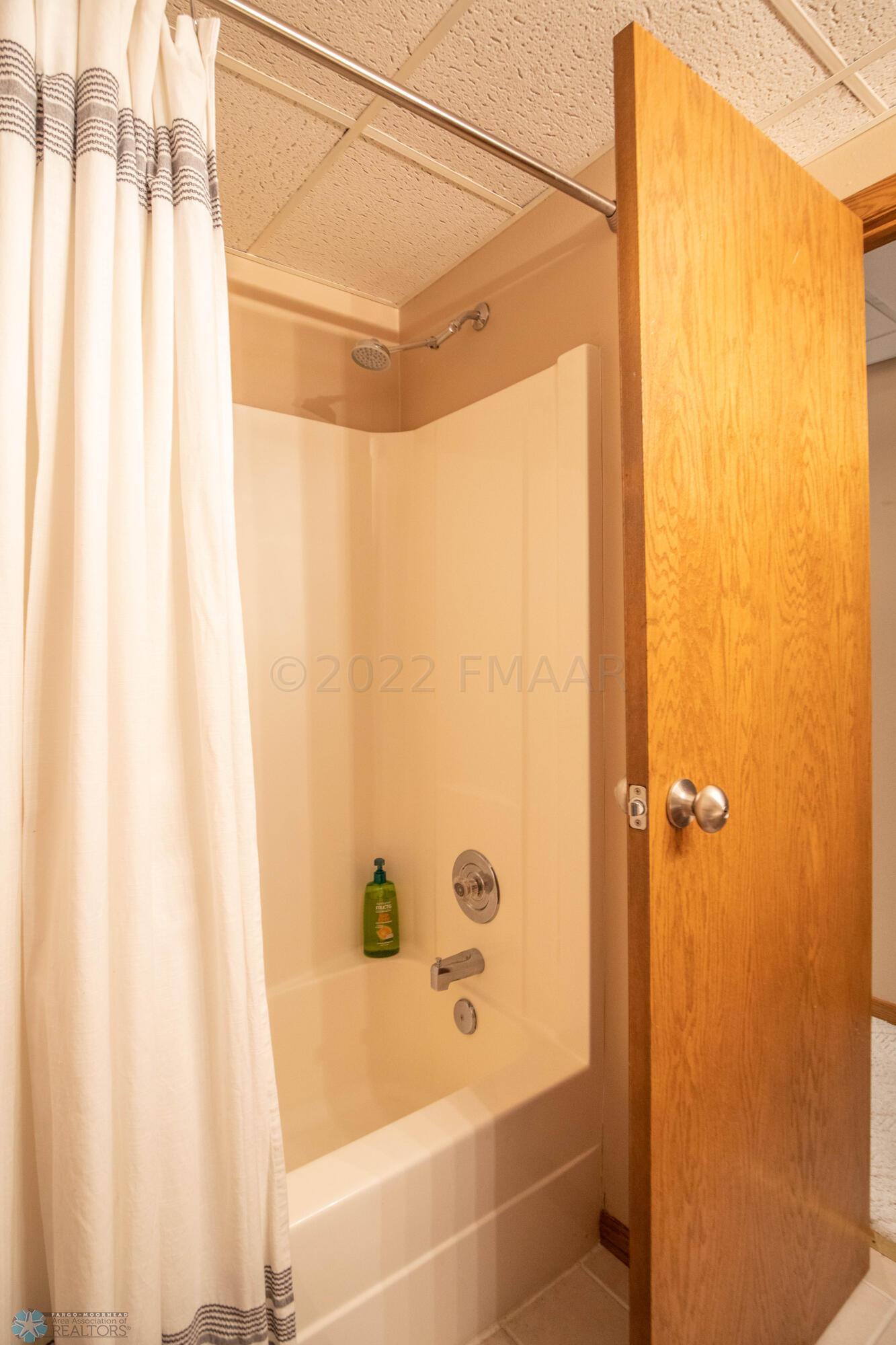 Lower Level Bathroom
