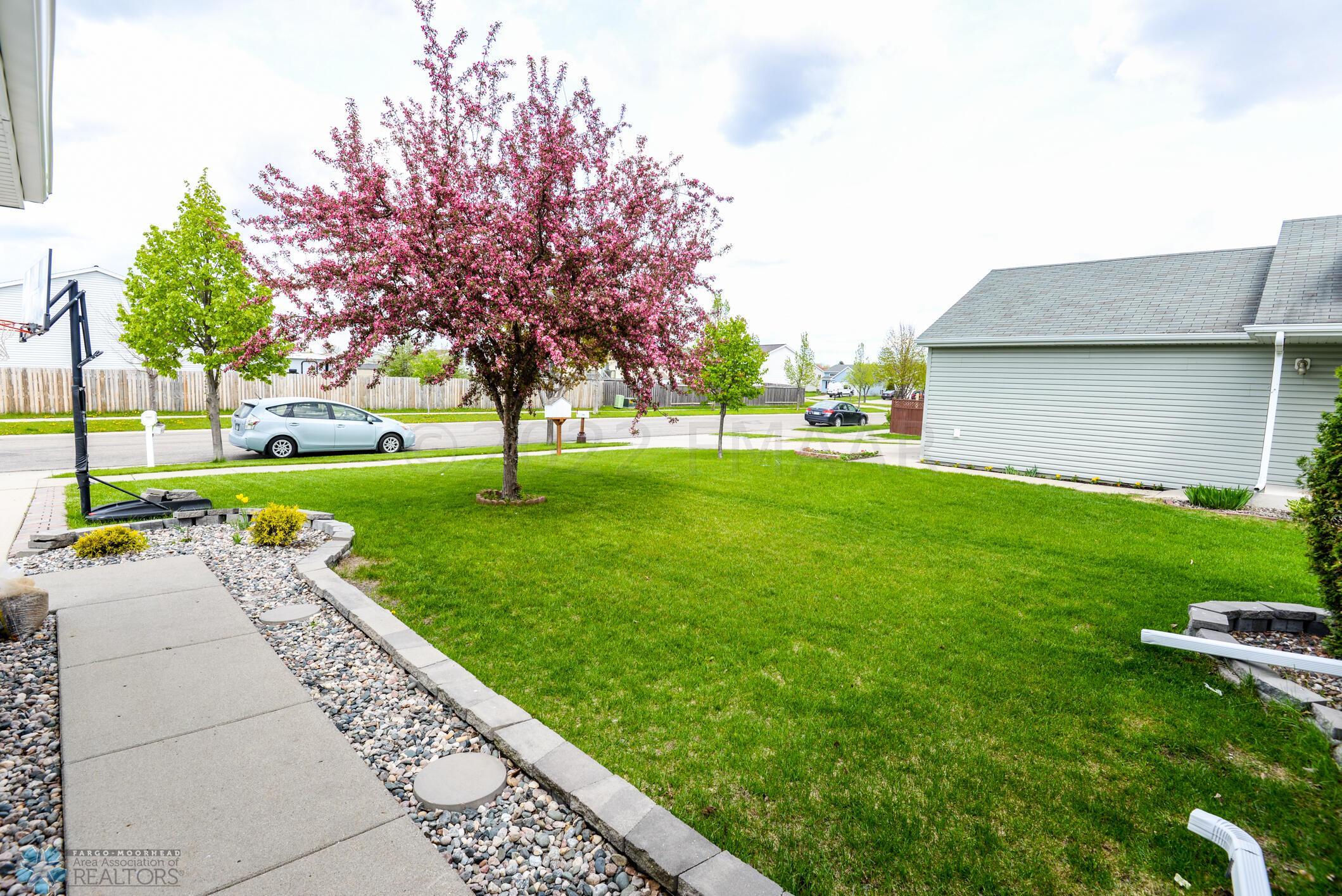 Front Yard