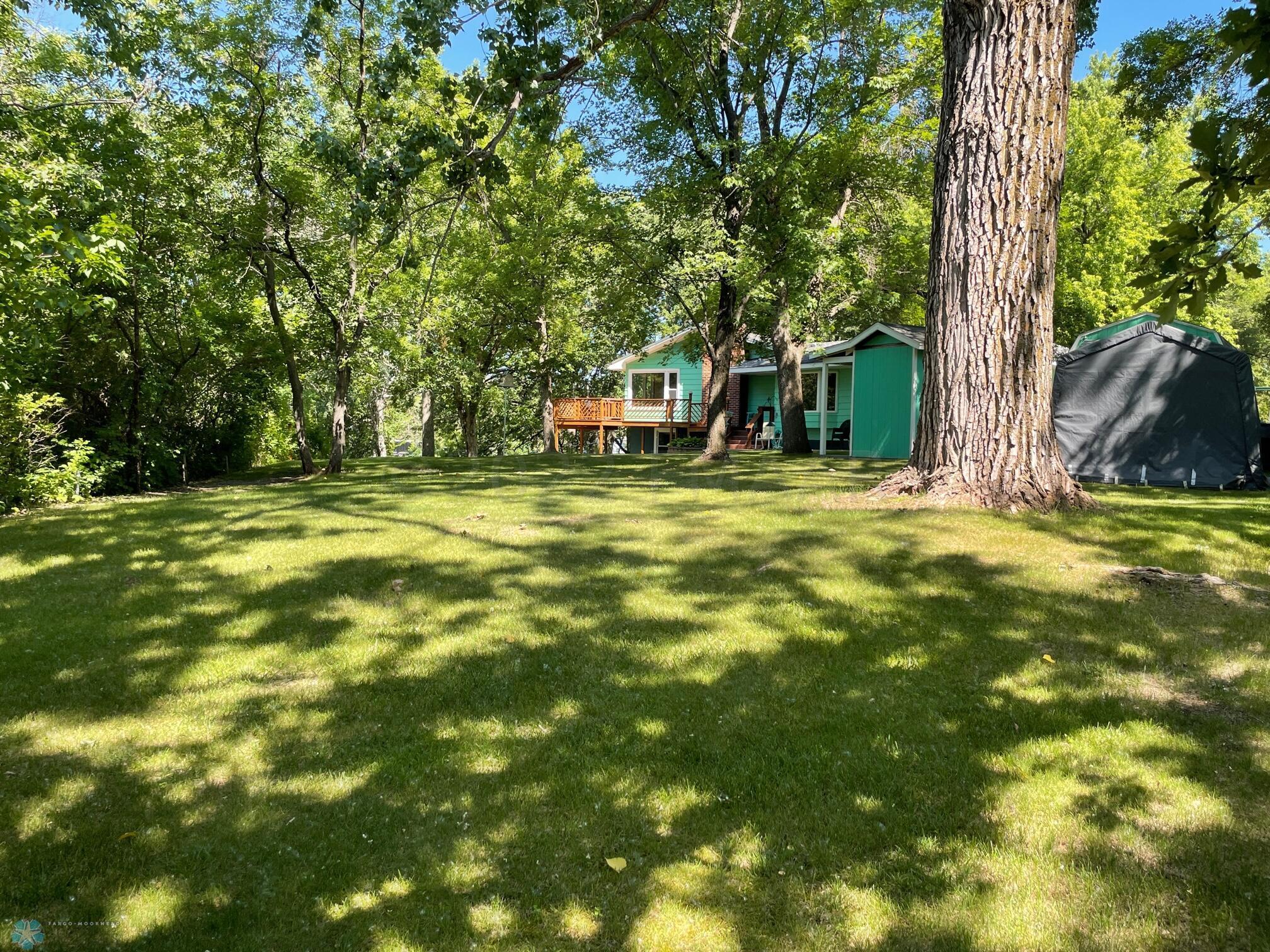 3-Beautiful park-like yard (2)