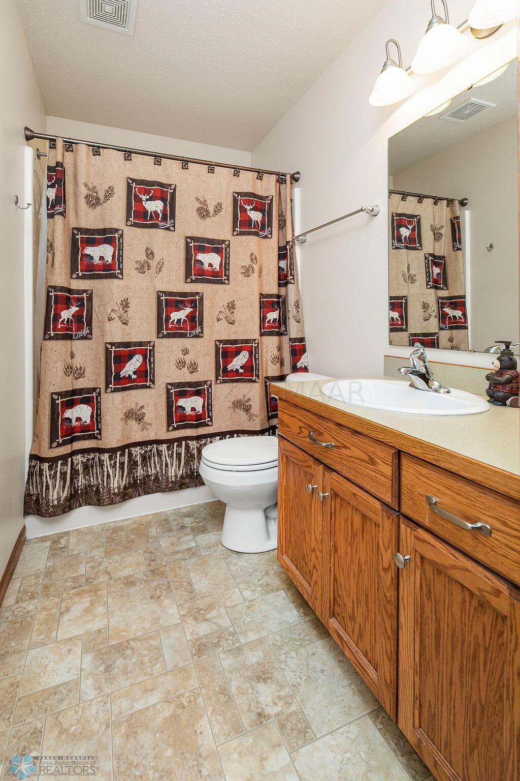 Lower level bathroom
