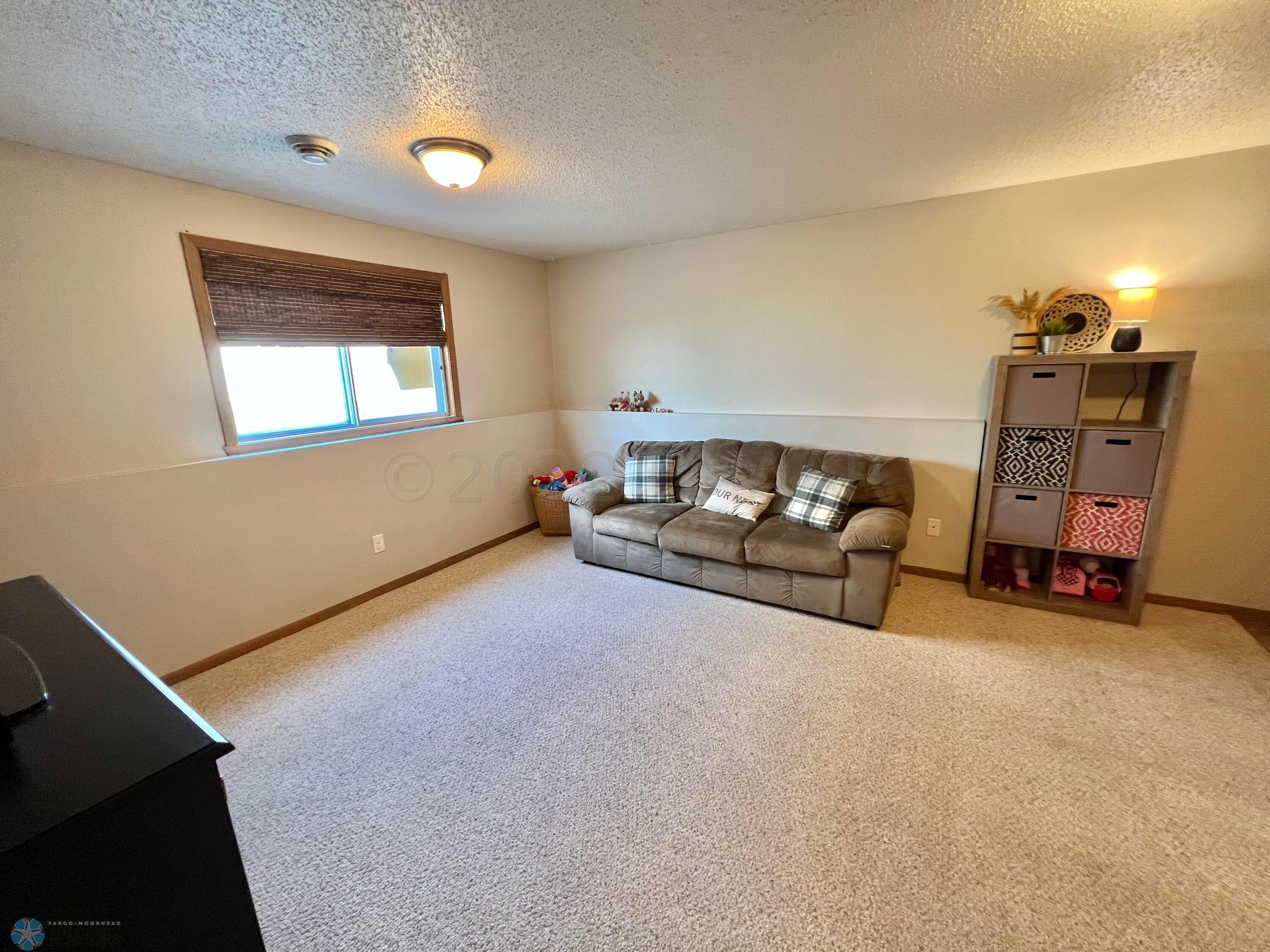 Lower Family Room