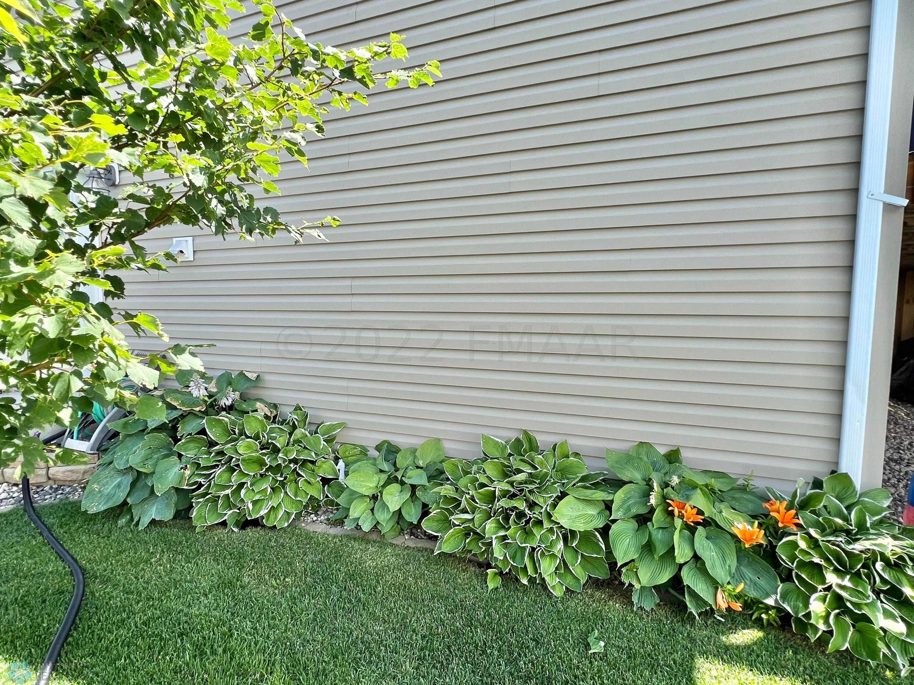 Mature Landscaping