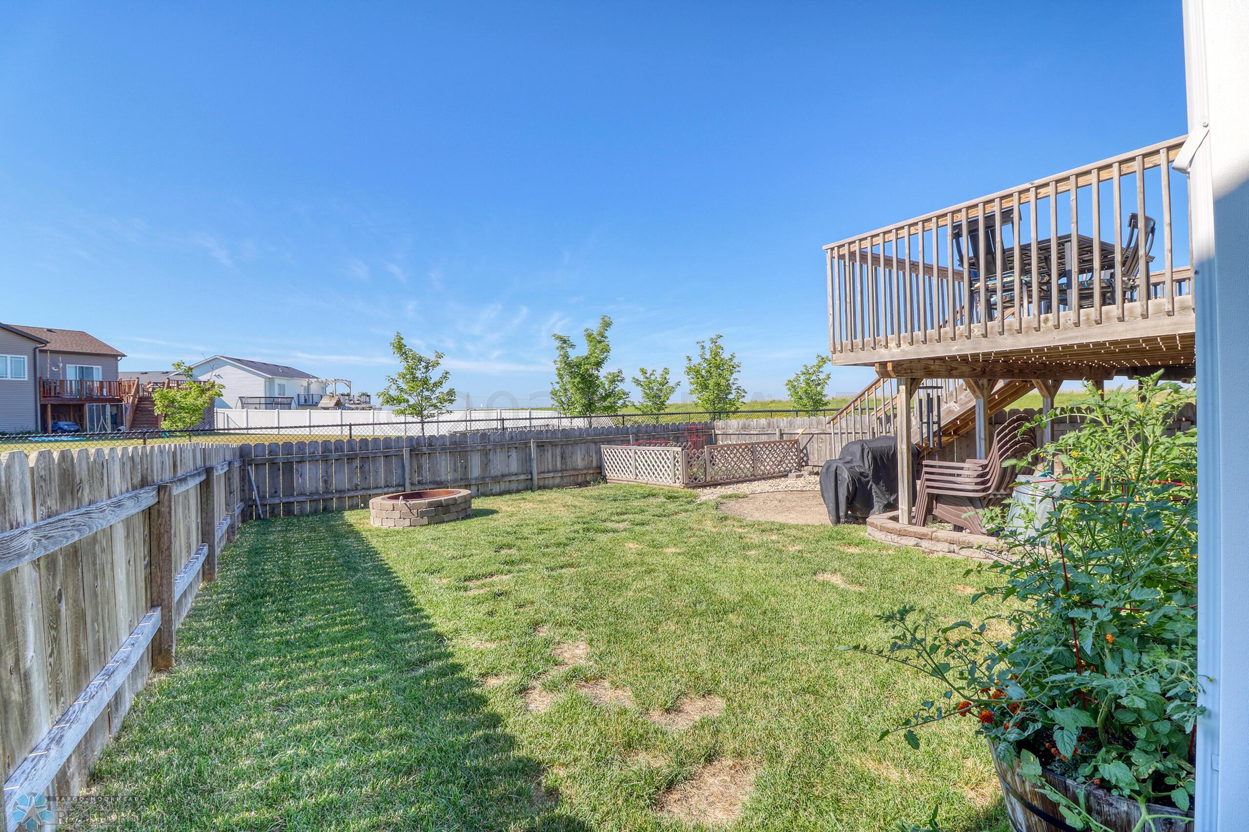 Backyard1_1