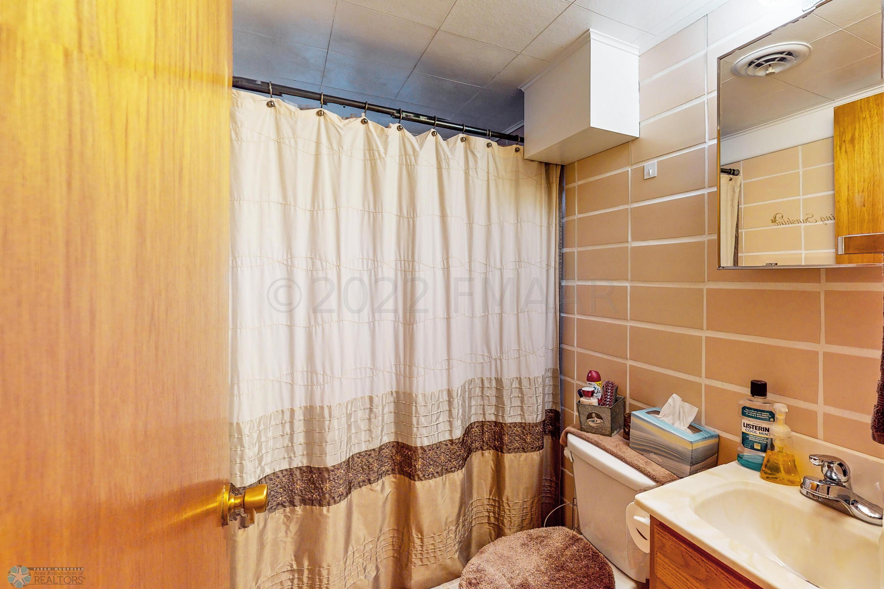 Lower Level Bathroom