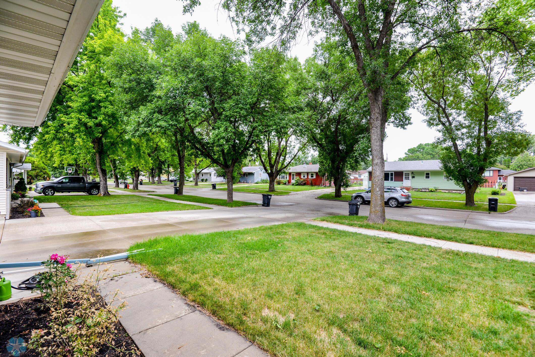 Front Yard