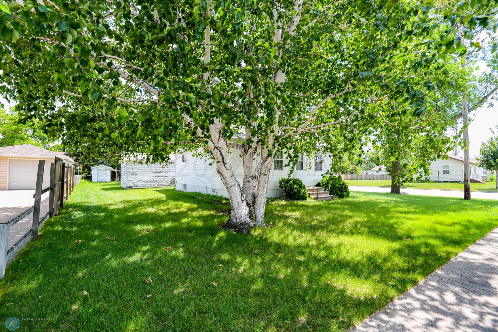 Front Yard