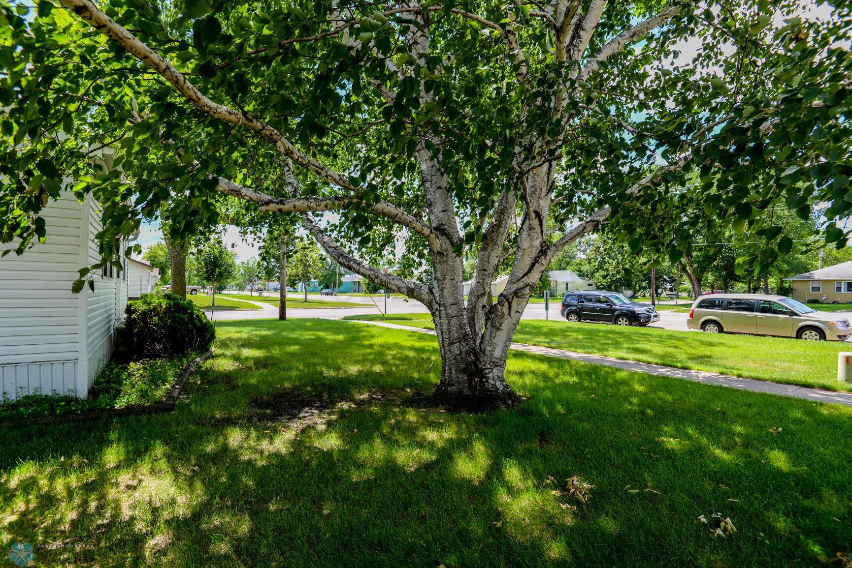Front Yard