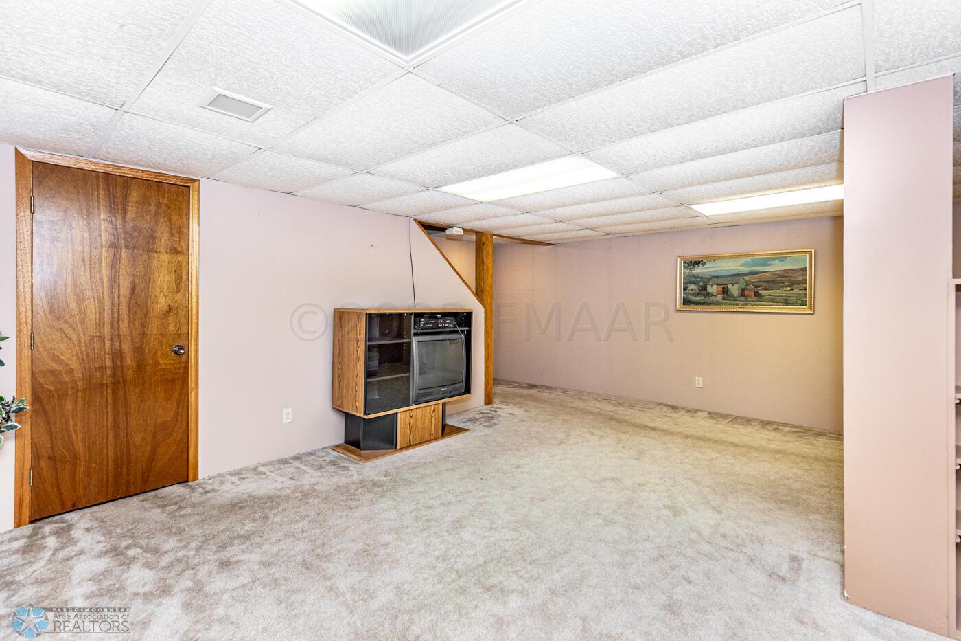 Basement Living Room