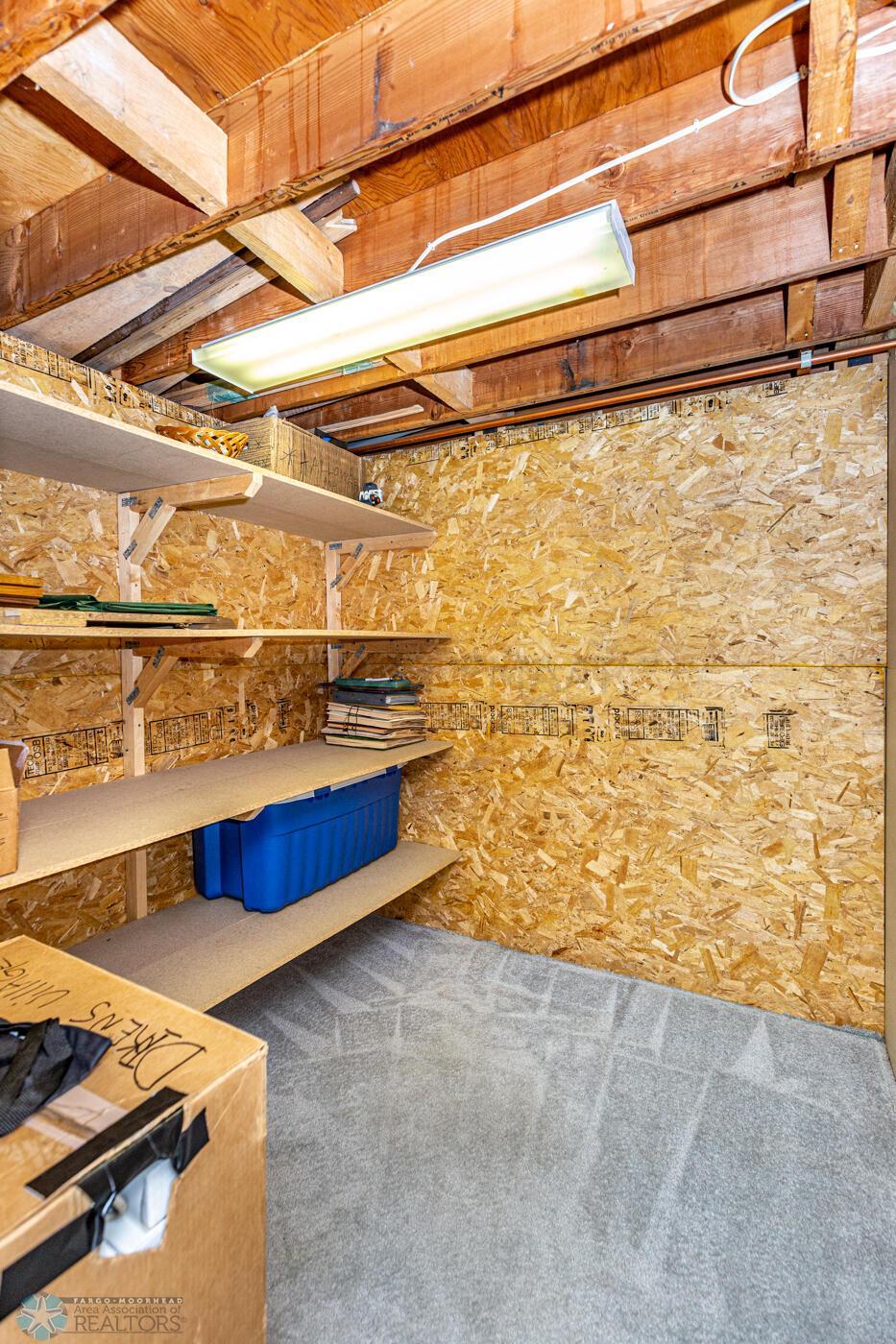 Basement Storage