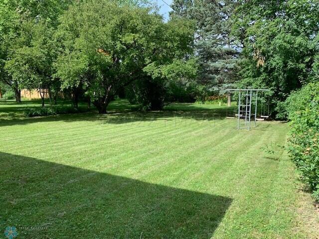 Backyard 1