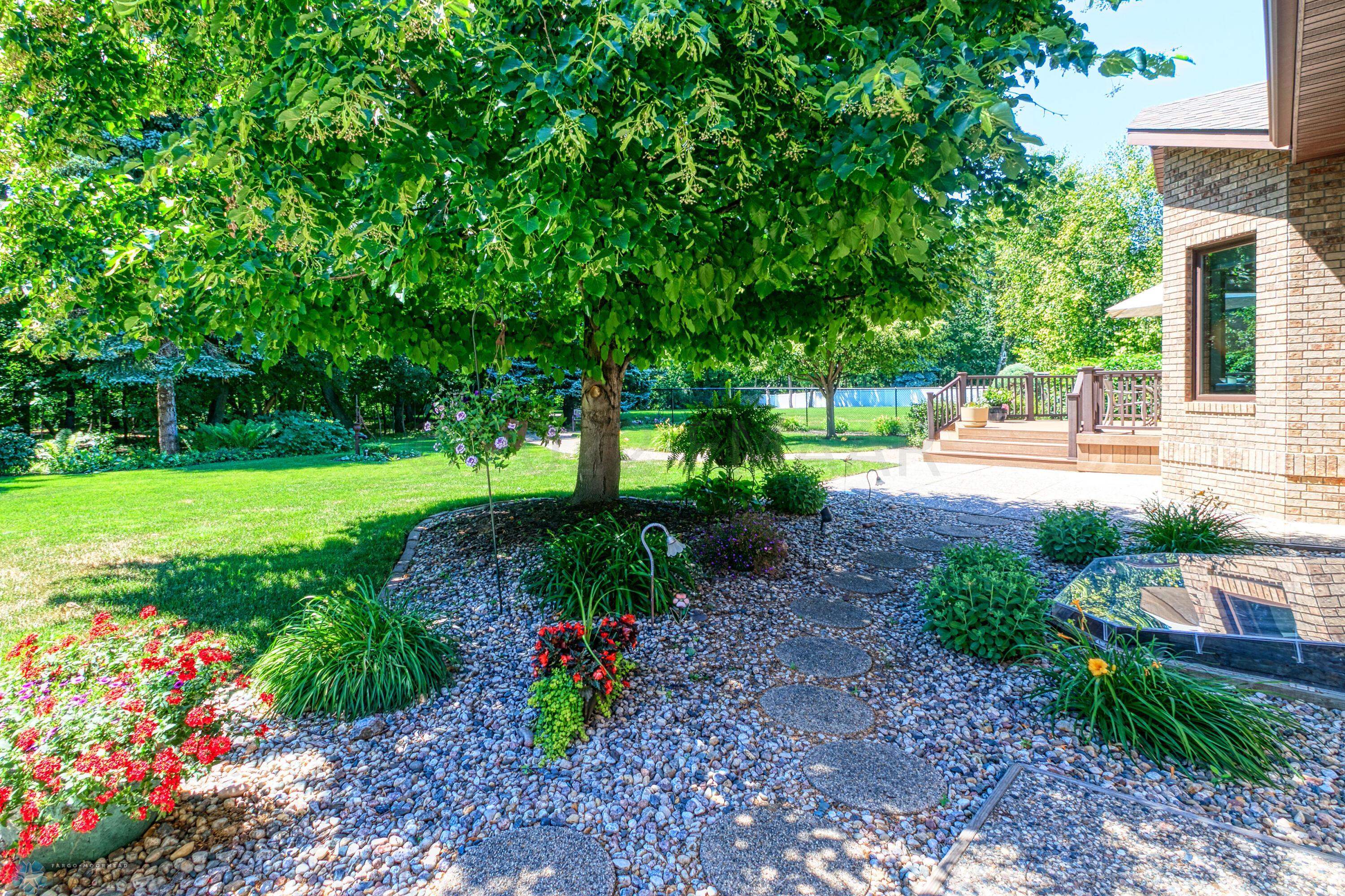 lovely backyard
