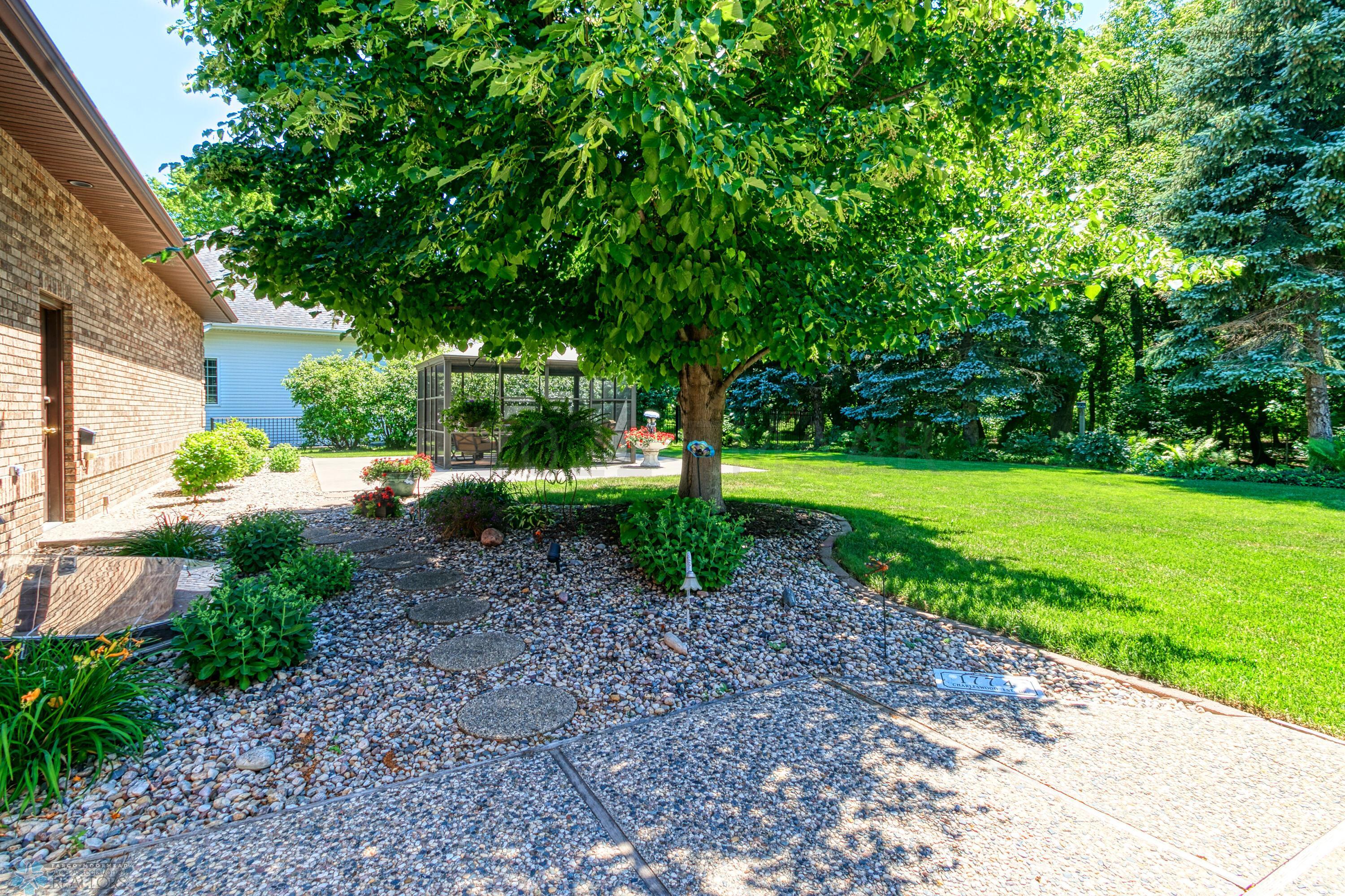 Park-like backyard